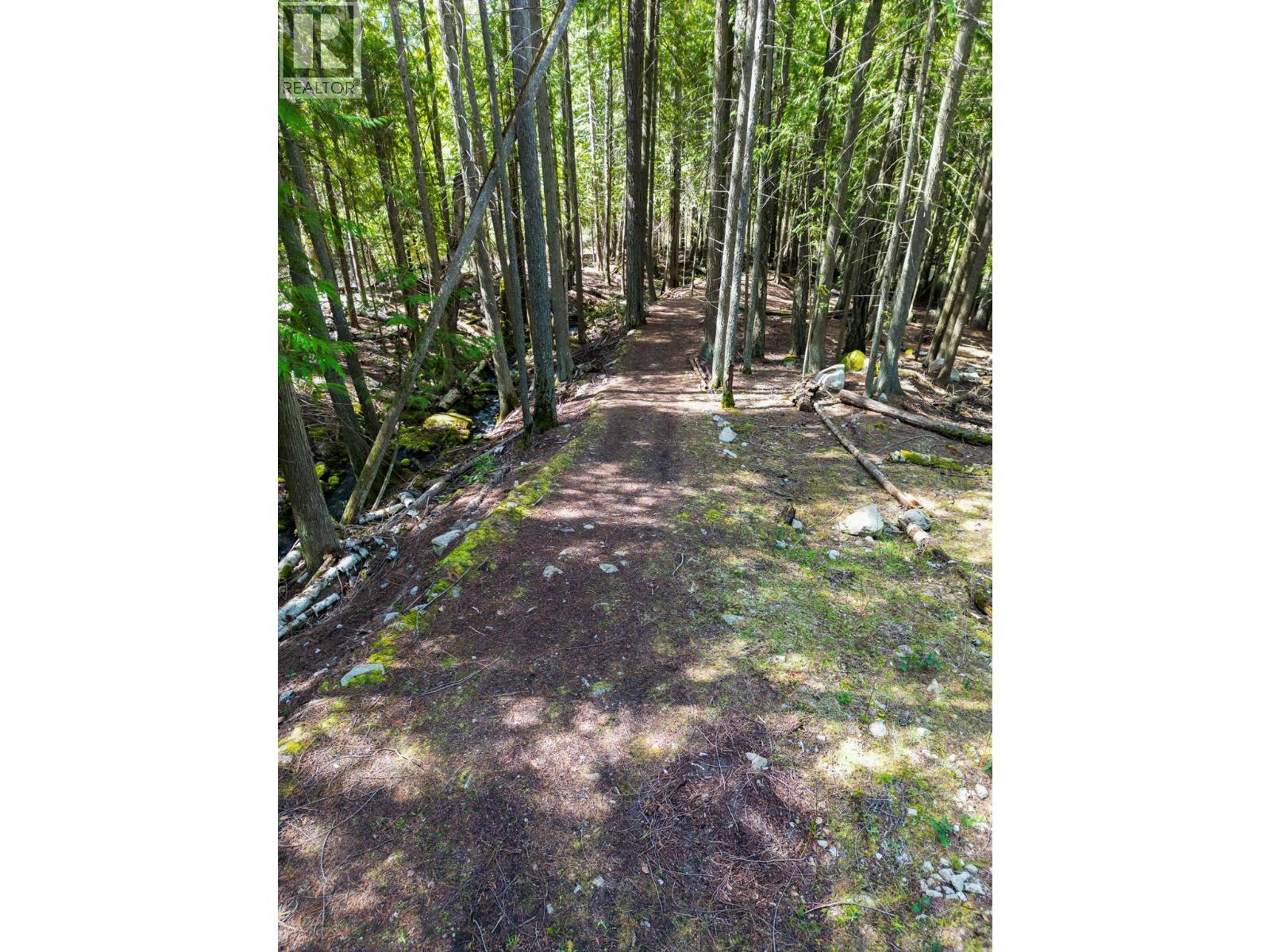 11110 3A HIGHWAY - 49