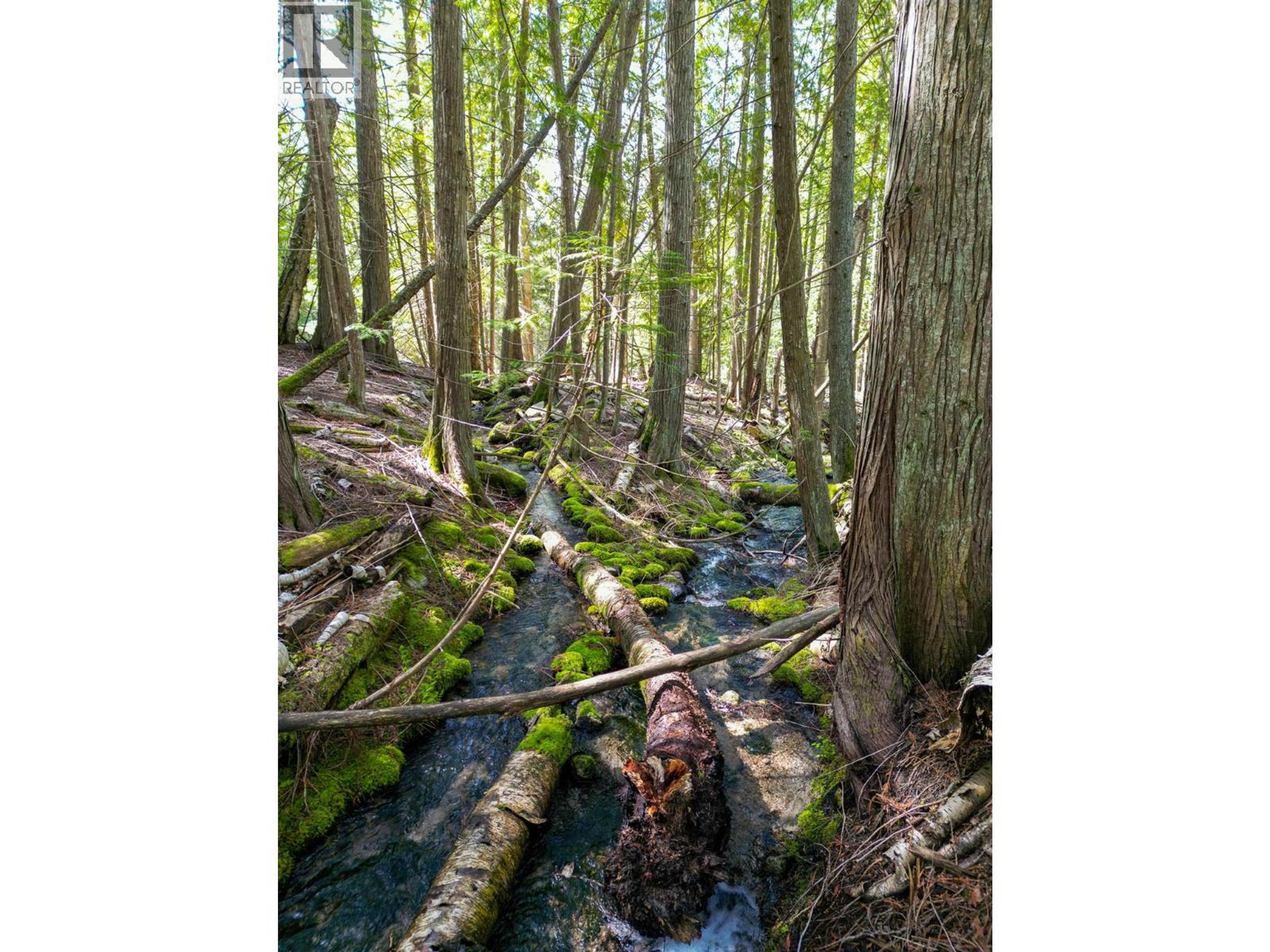 11110 3A HIGHWAY - 50