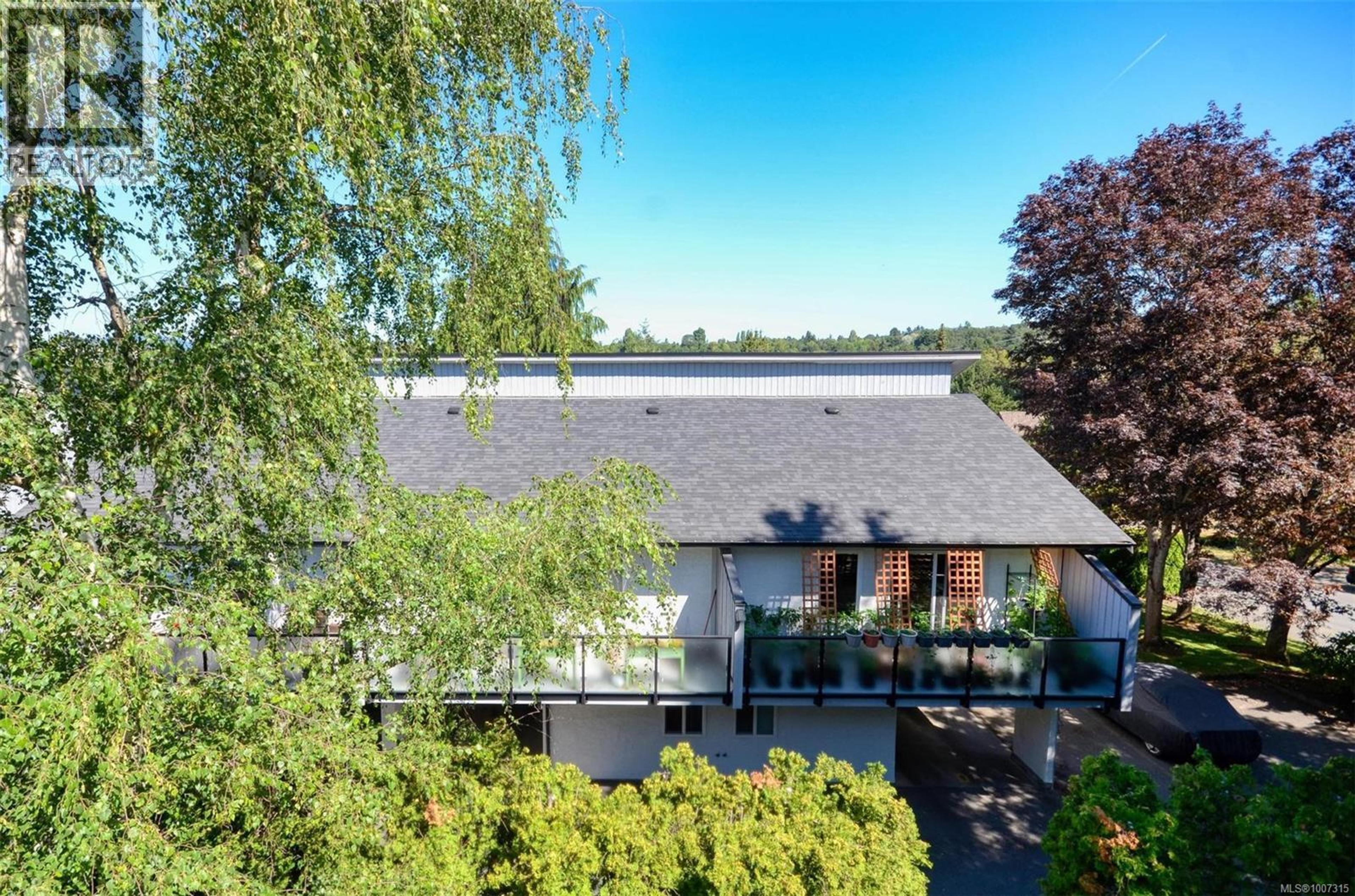 3215 Alder St, Saanich - Exteriors - Drone/Aerial View - Photo 4