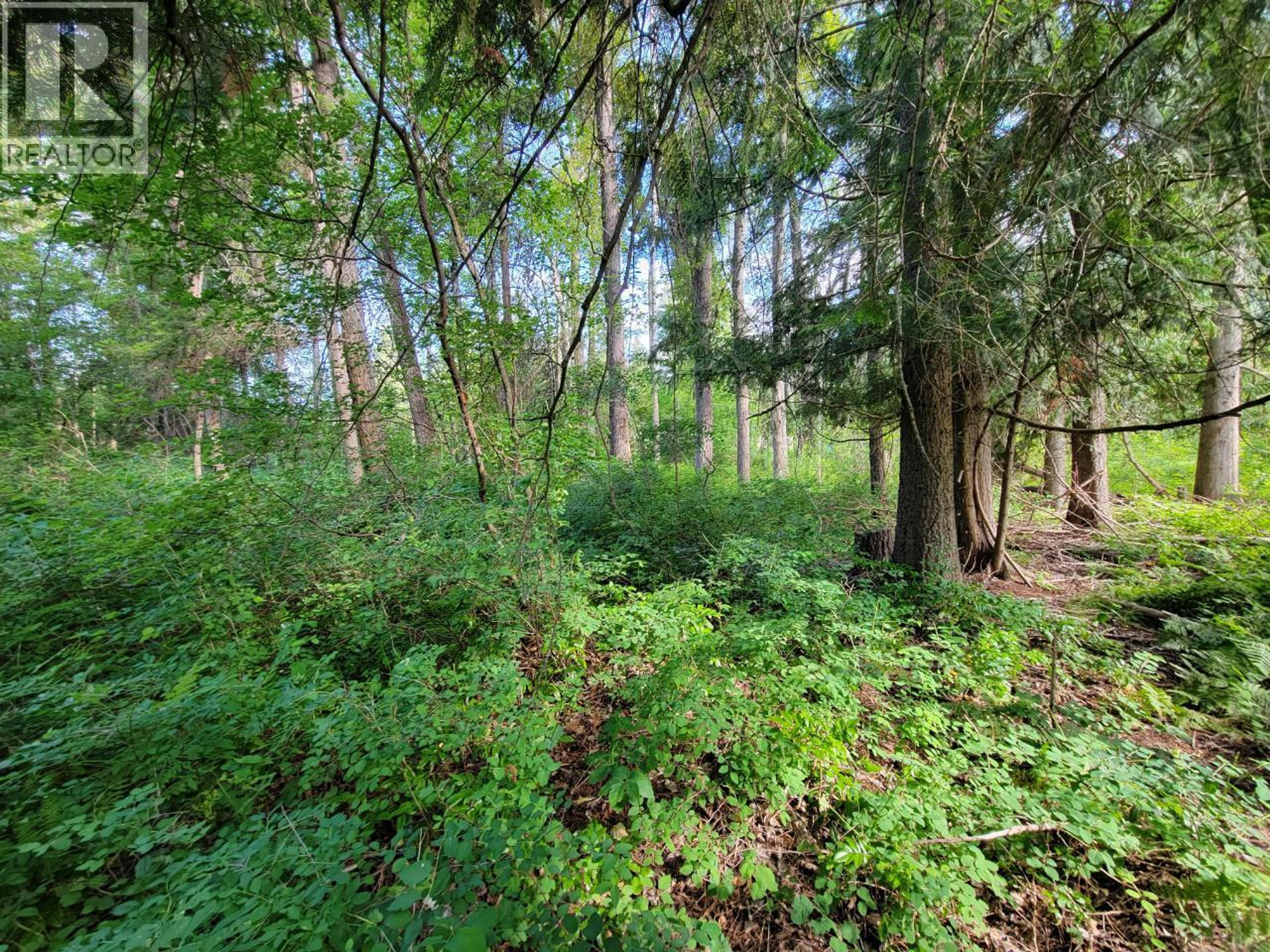 LOT 1 PASSMORE OLD ROAD - 15