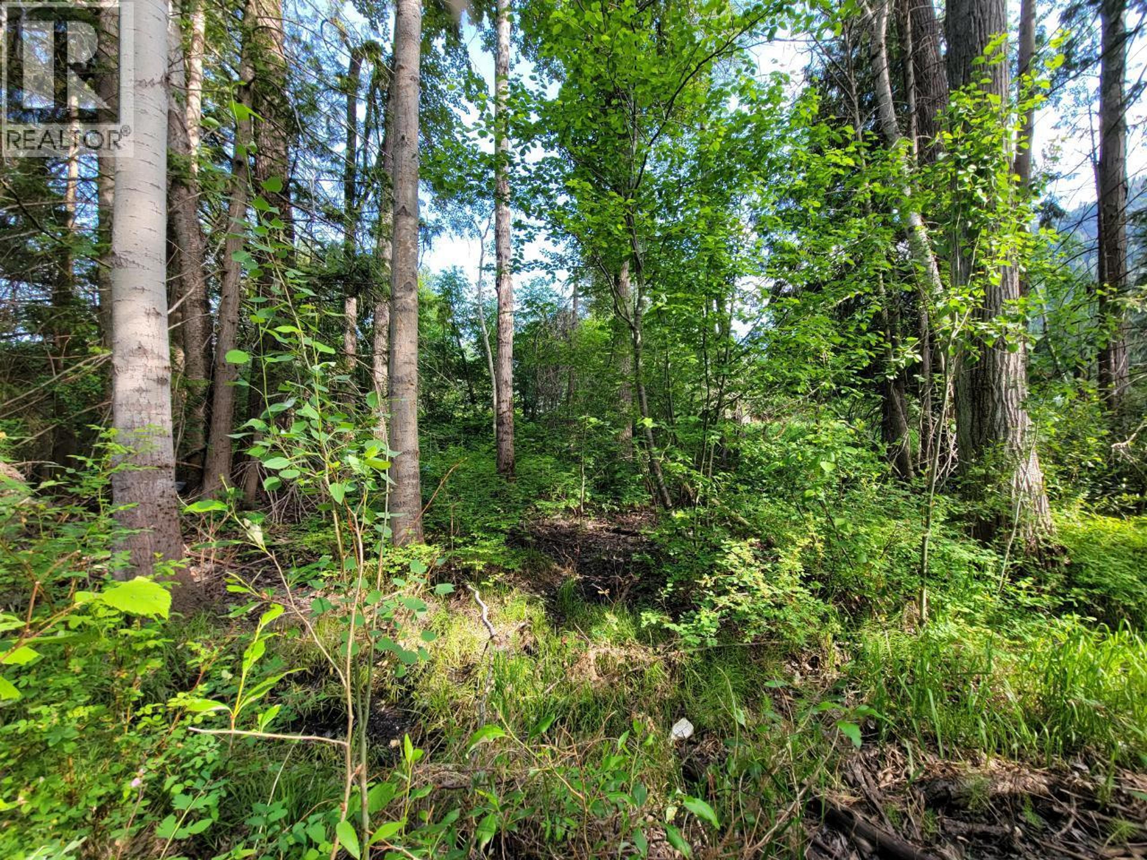 LOT 1 PASSMORE OLD ROAD - 18