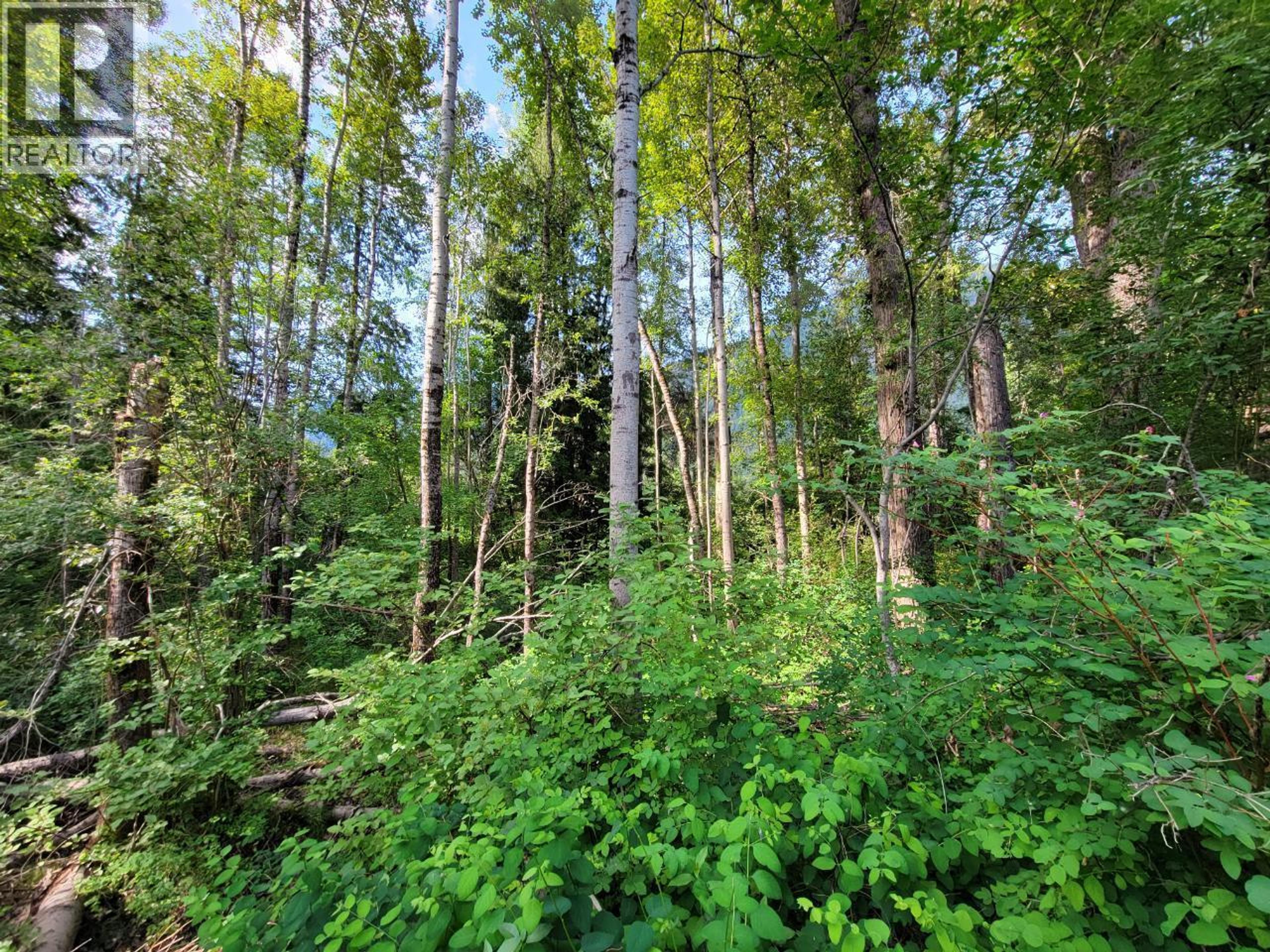 LOT 1 PASSMORE OLD ROAD - 23