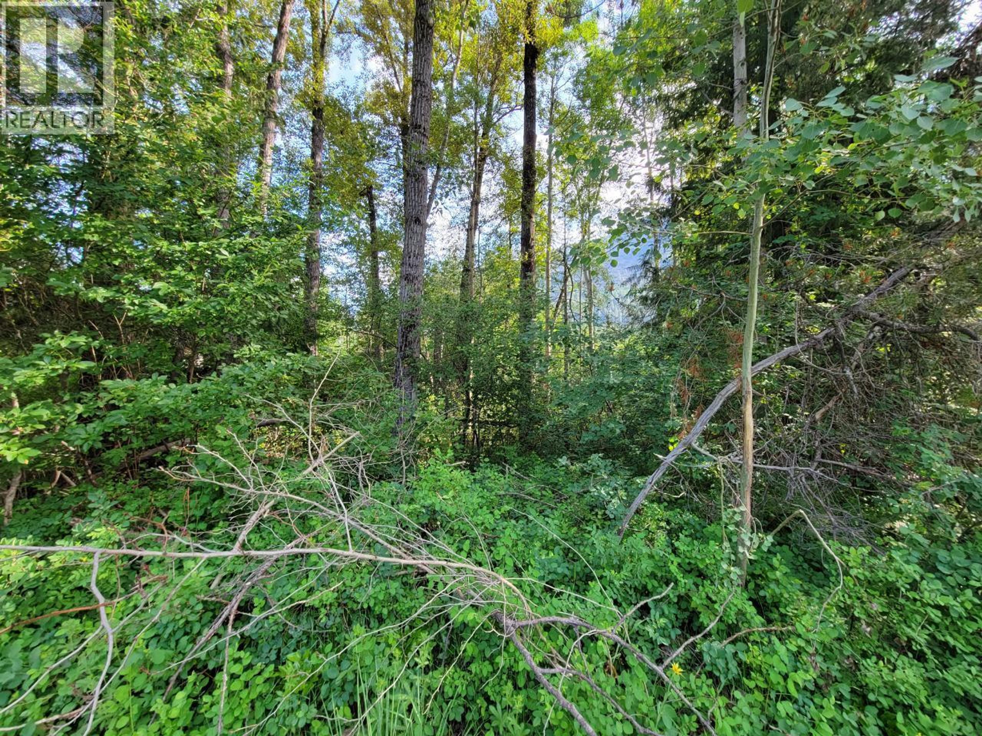 LOT 1 PASSMORE OLD ROAD - 25