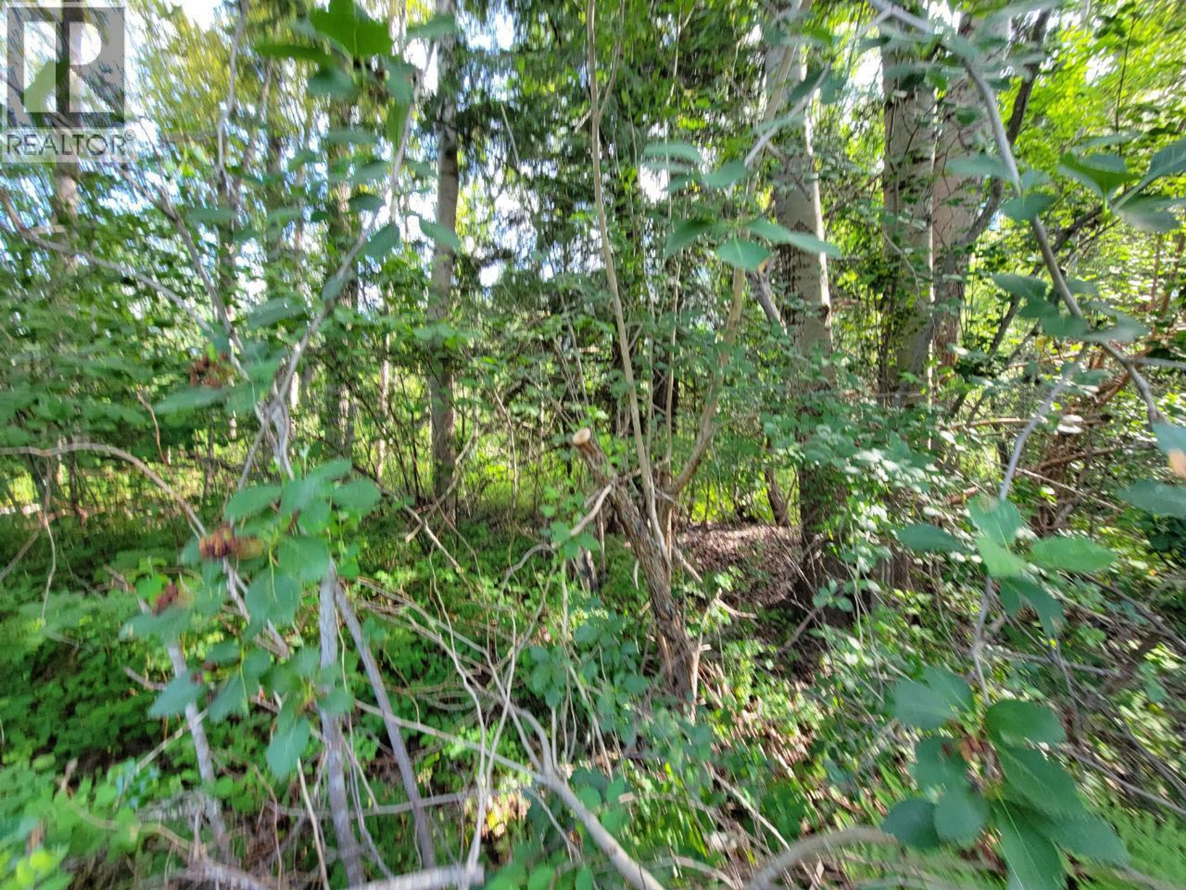 LOT 1 PASSMORE OLD ROAD - 26