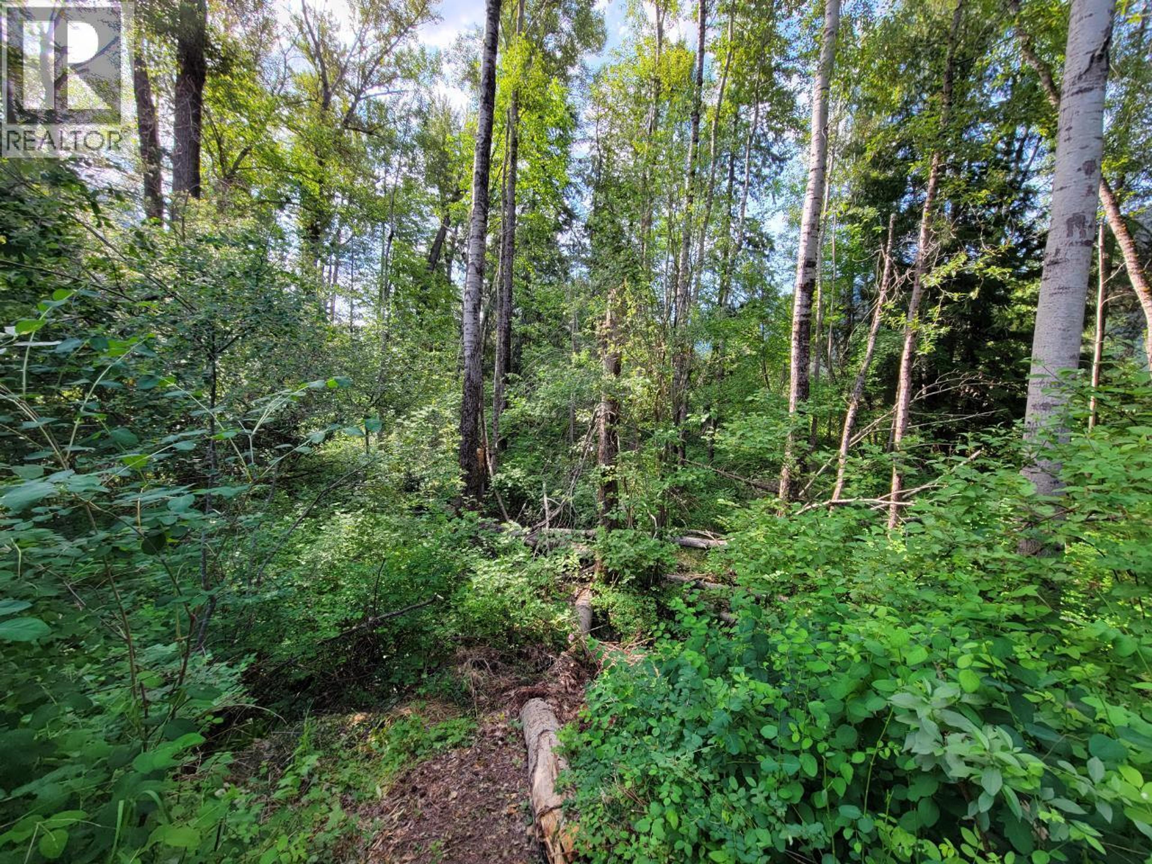 LOT 1 PASSMORE OLD ROAD - Image 3