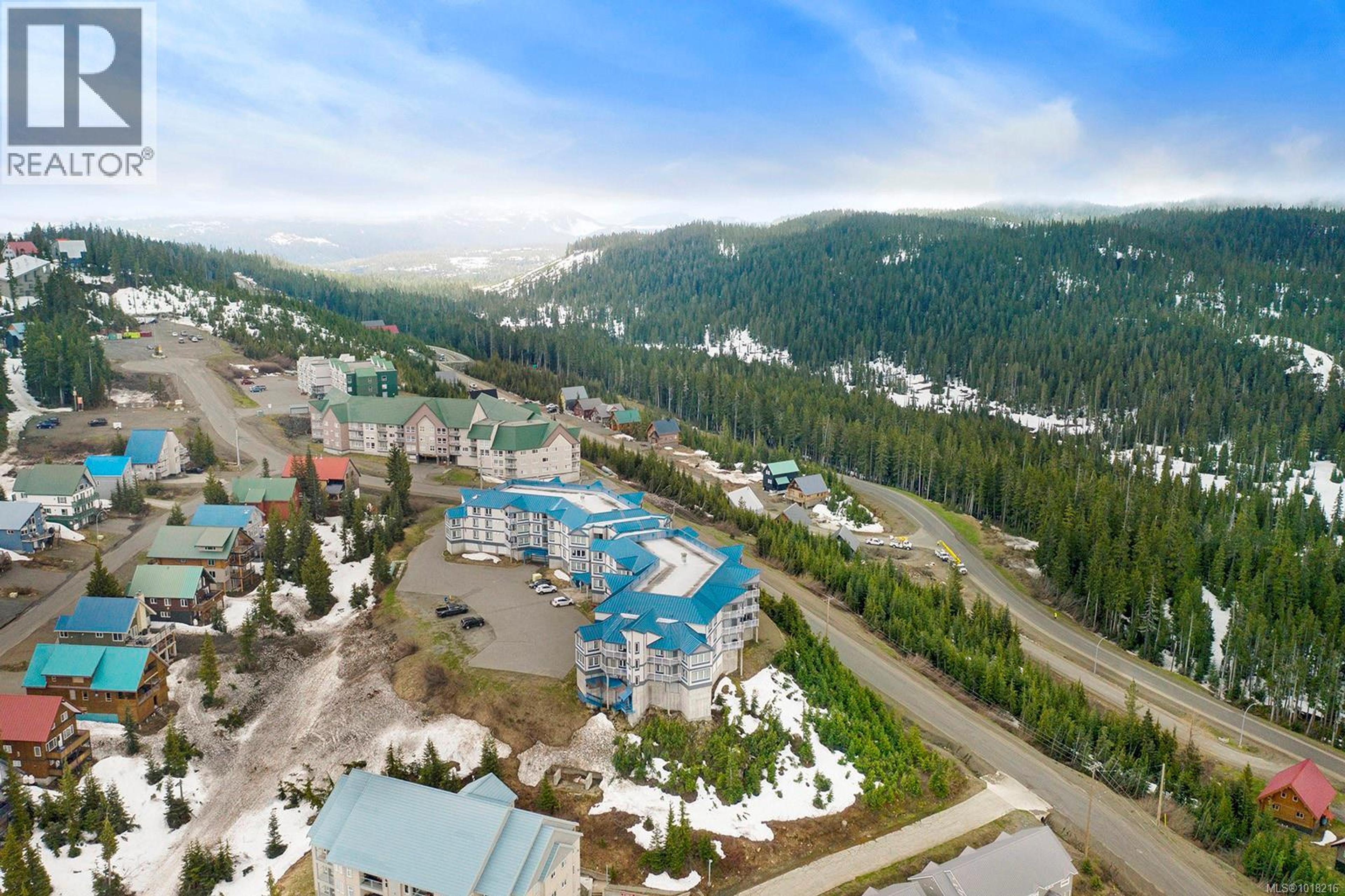 1320 Henry Rd, Courtenay - Exteriors - Full Complex View, Drone/Aerial View - Photo 3