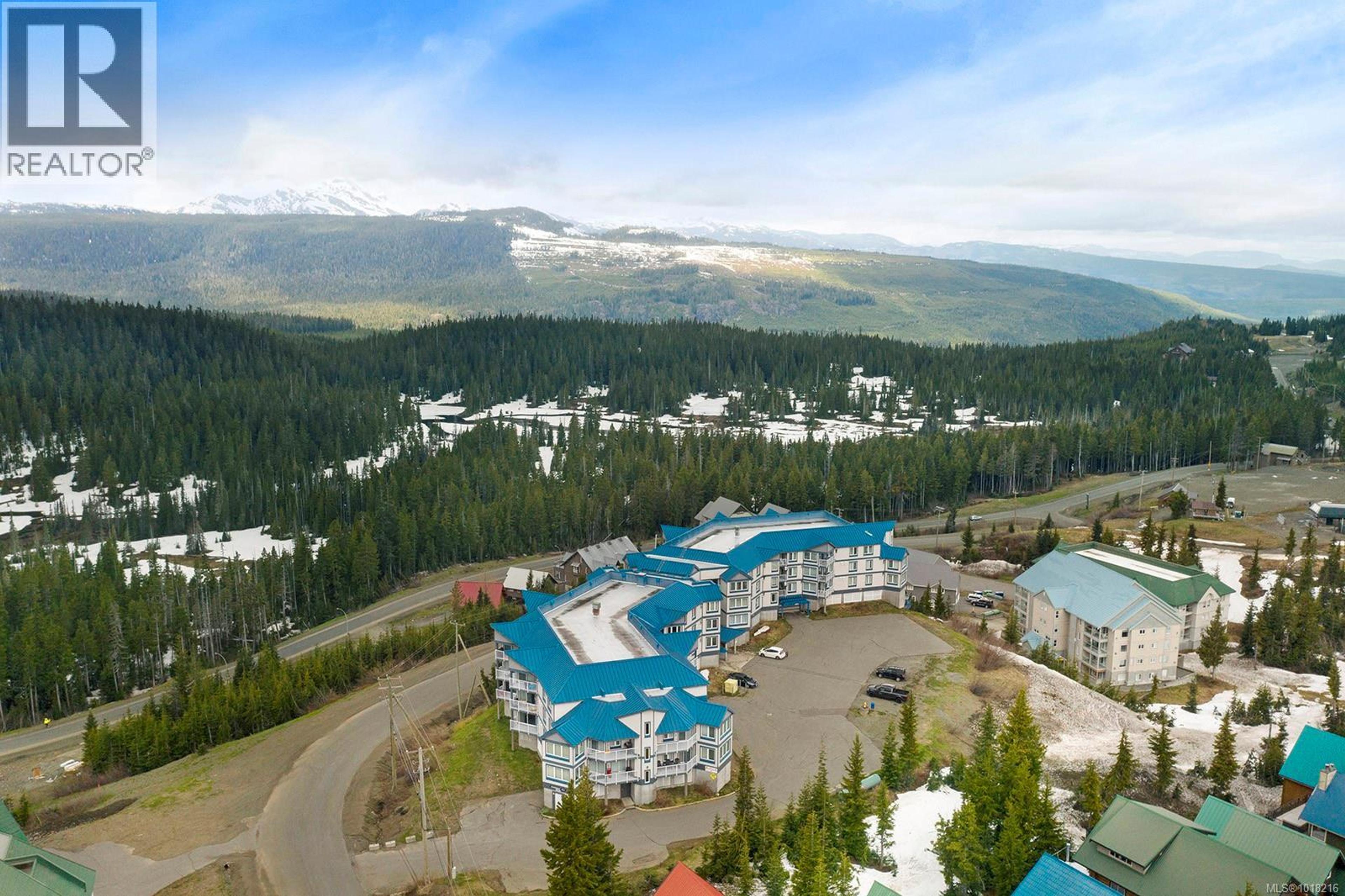 1320 Henry Rd, Courtenay - Exteriors - Full Complex View, Drone/Aerial View - Photo 6