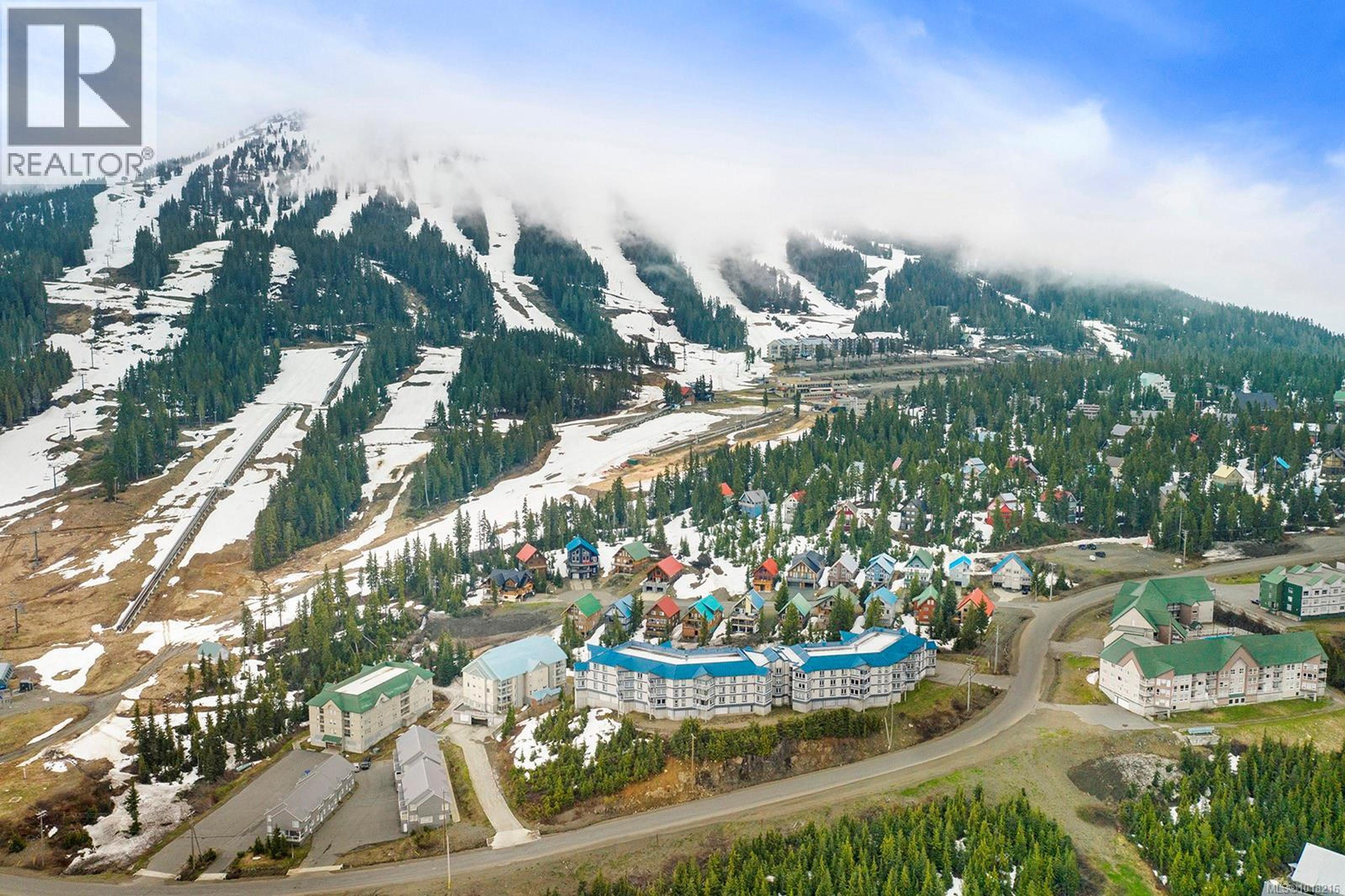 1320 Henry Rd, Courtenay - Exteriors - Full Complex View, Drone/Aerial View - Photo 7