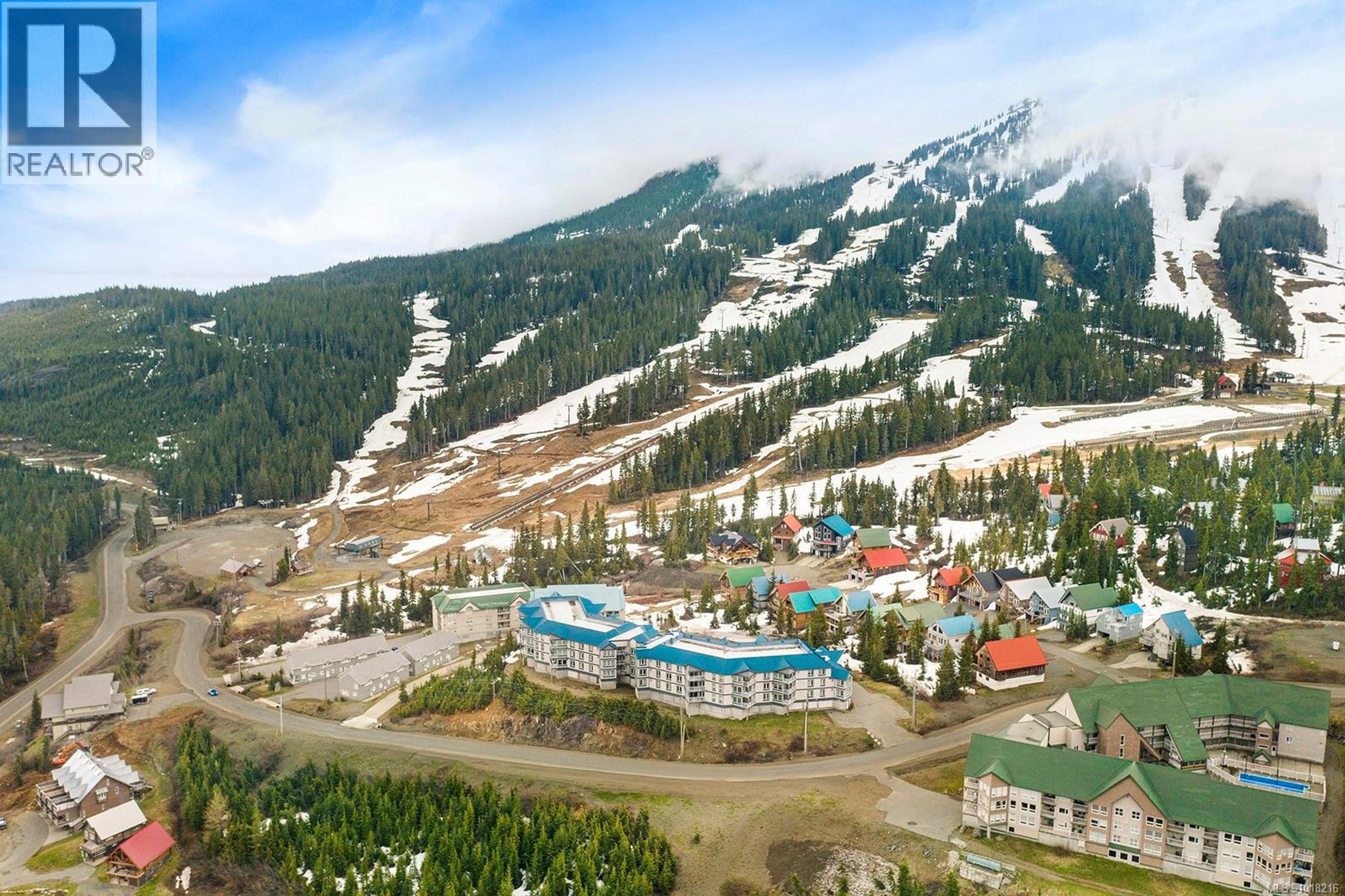 1320 Henry Rd, Courtenay - Exteriors - Full Complex View, Drone/Aerial View - Photo 8