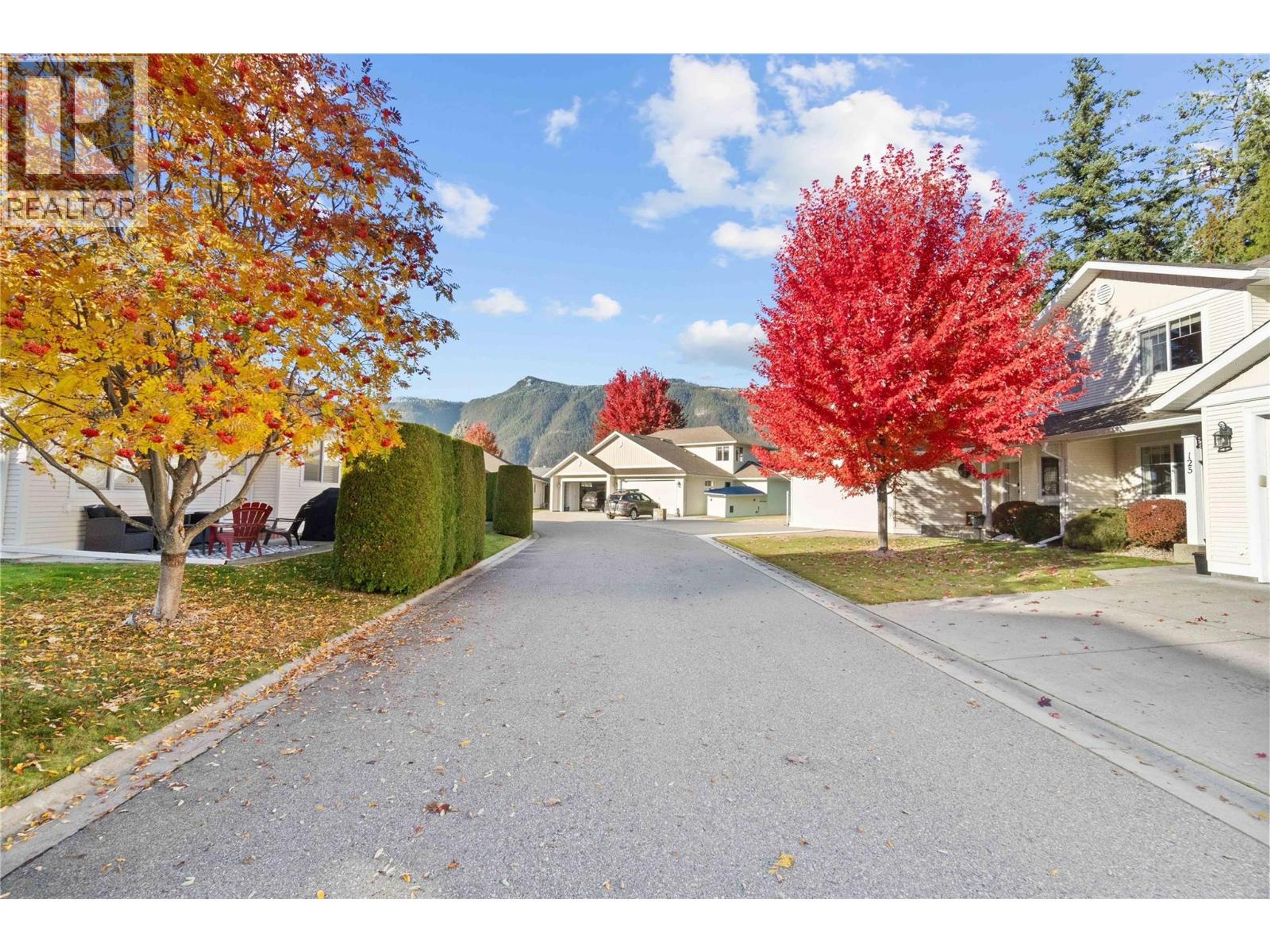 222 Martin Street, Sicamous - Exteriors - Full Complex View - Photo 9