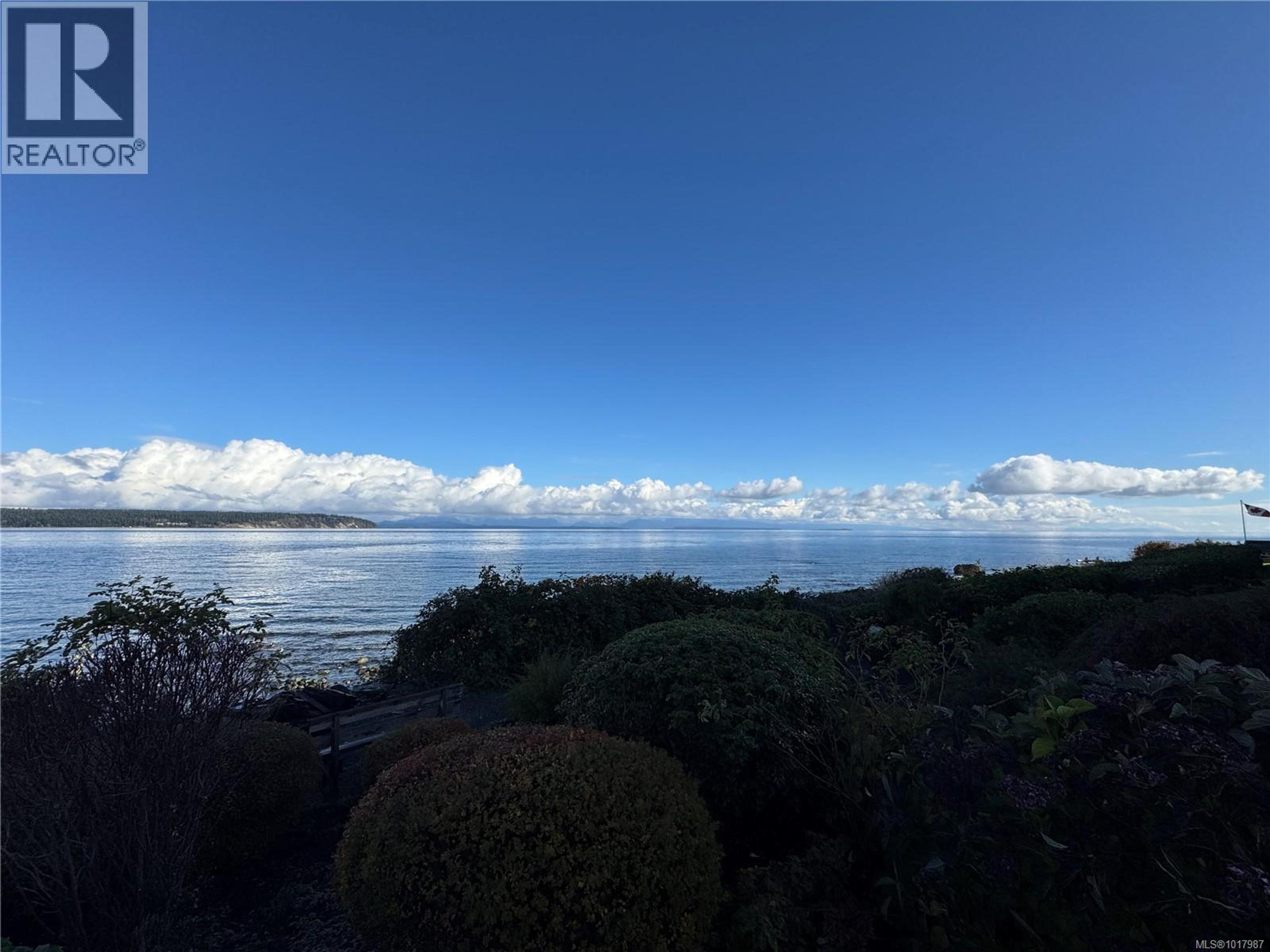 9 Adams Rd, Campbell River - Exteriors - Full Complex View - Photo 3