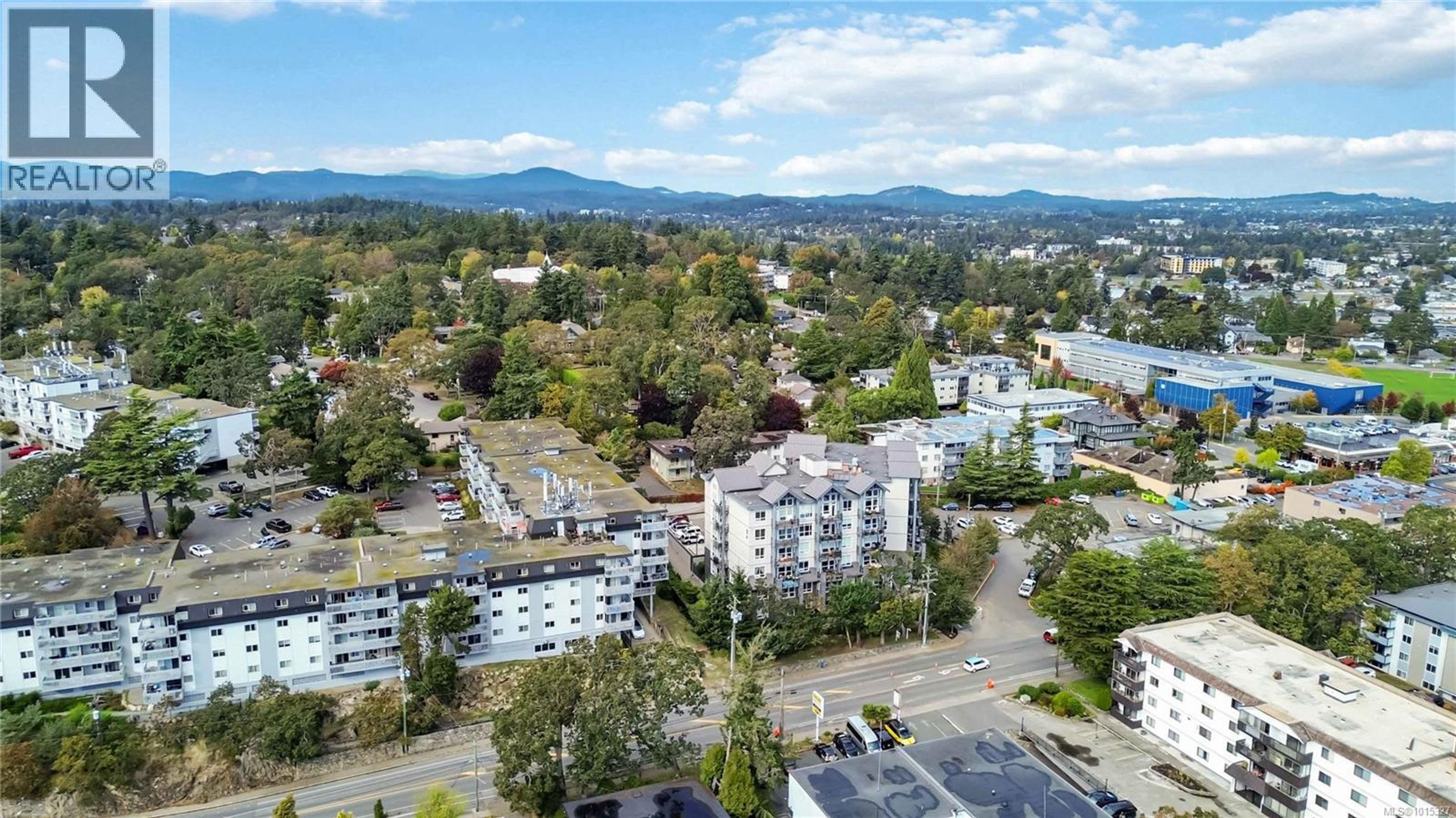 924 Esquimalt Rd, Esquimalt - Exteriors - Full Complex View, Drone/Aerial View - Photo 10