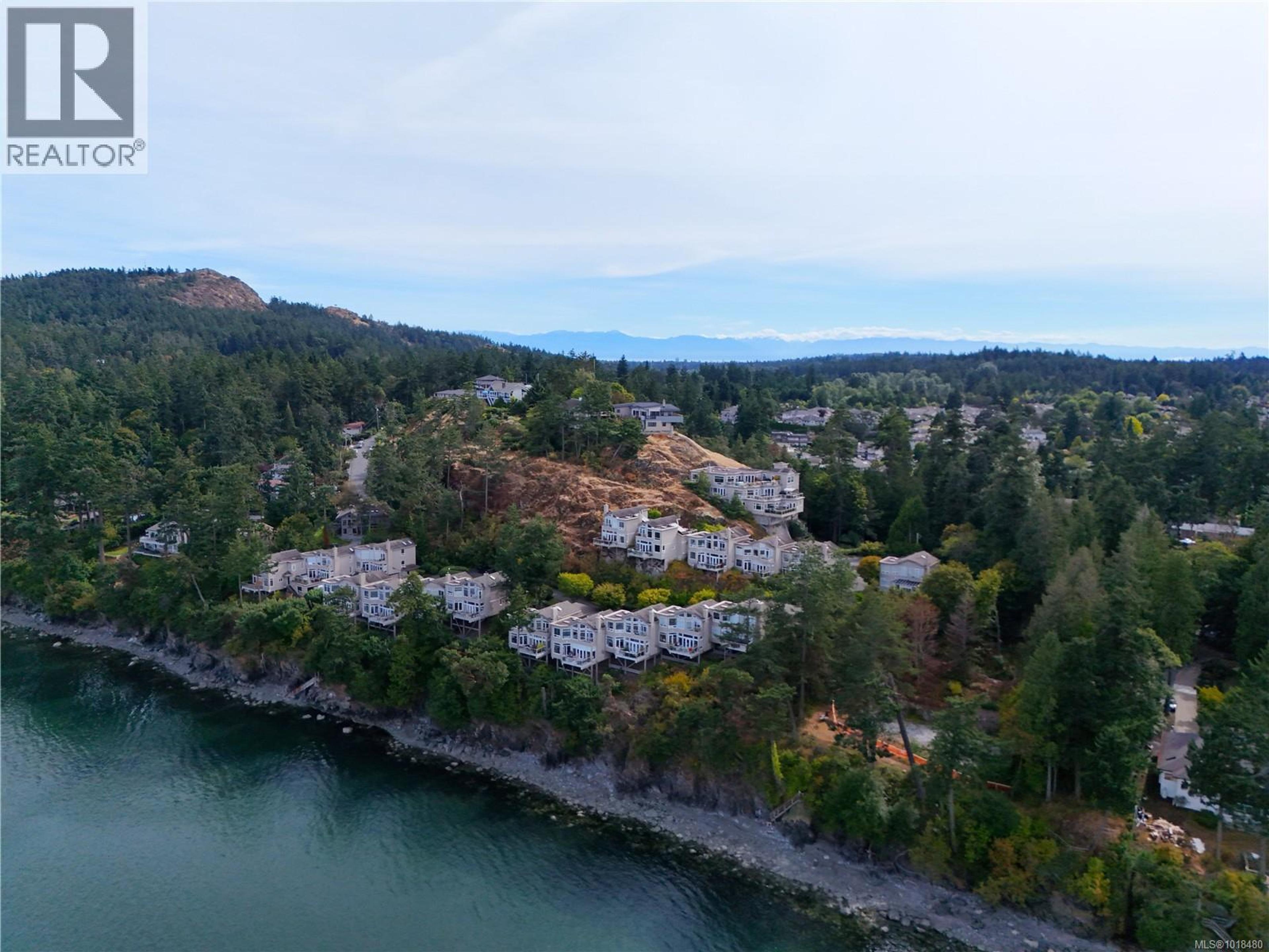 4771 Cordova Bay Rd, Saanich - Exteriors - Drone/Aerial View, Full Complex View - Photo 10