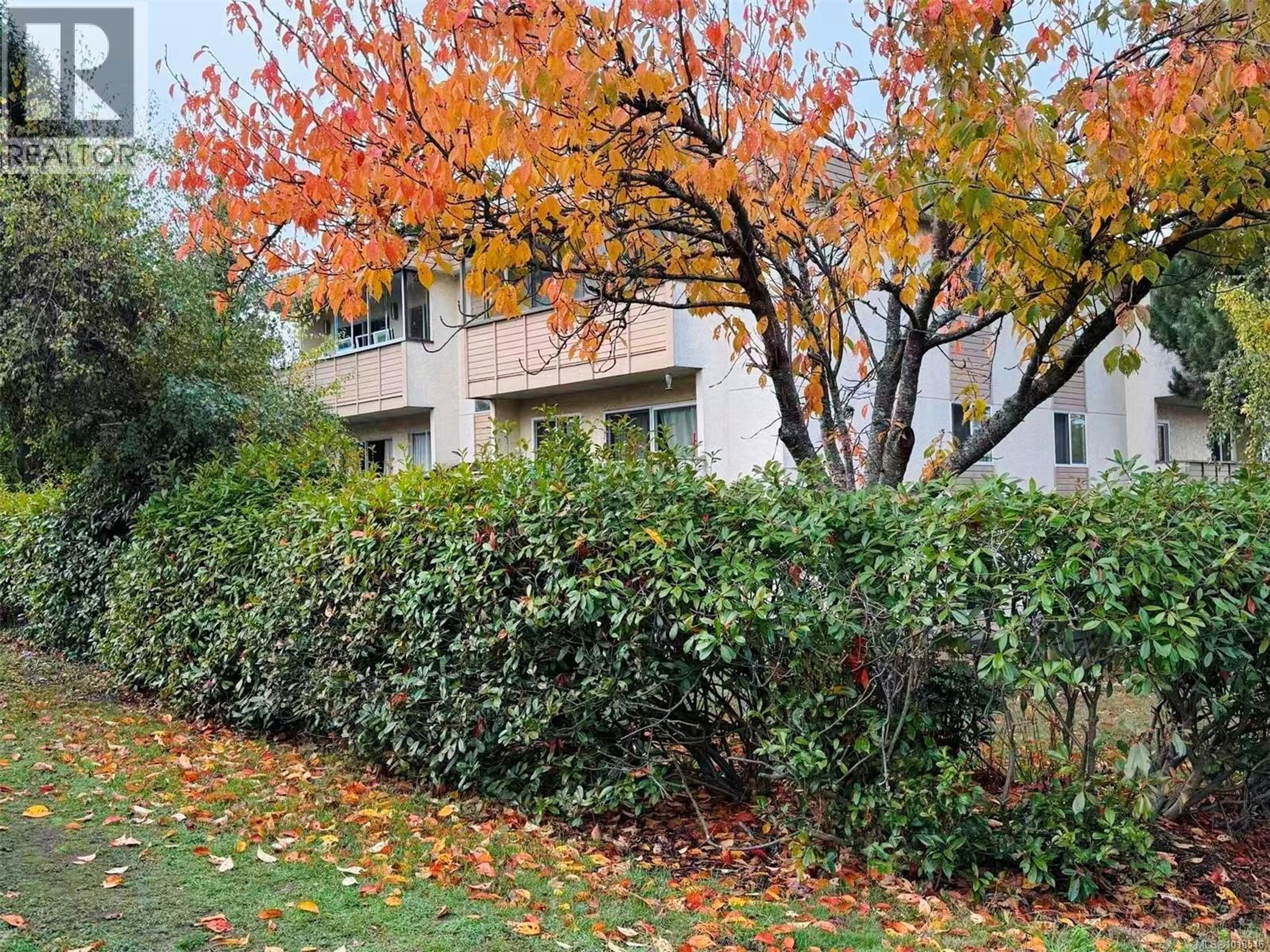 1597 Midgard Ave, Saanich - Exteriors - Photo 2