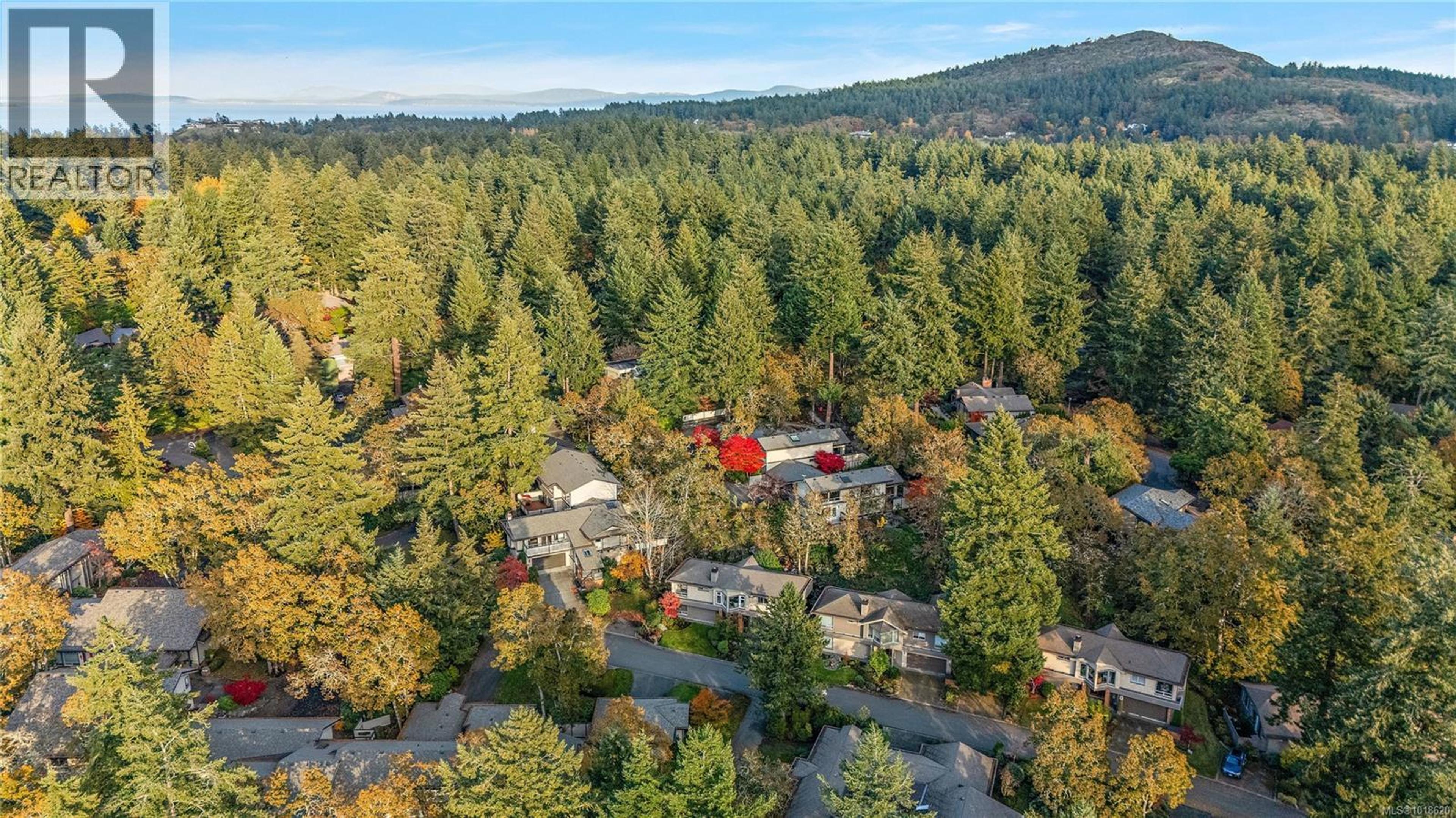 909 Carolwood Dr, Saanich - Exteriors - Full Complex View, Drone/Aerial View - Photo 6