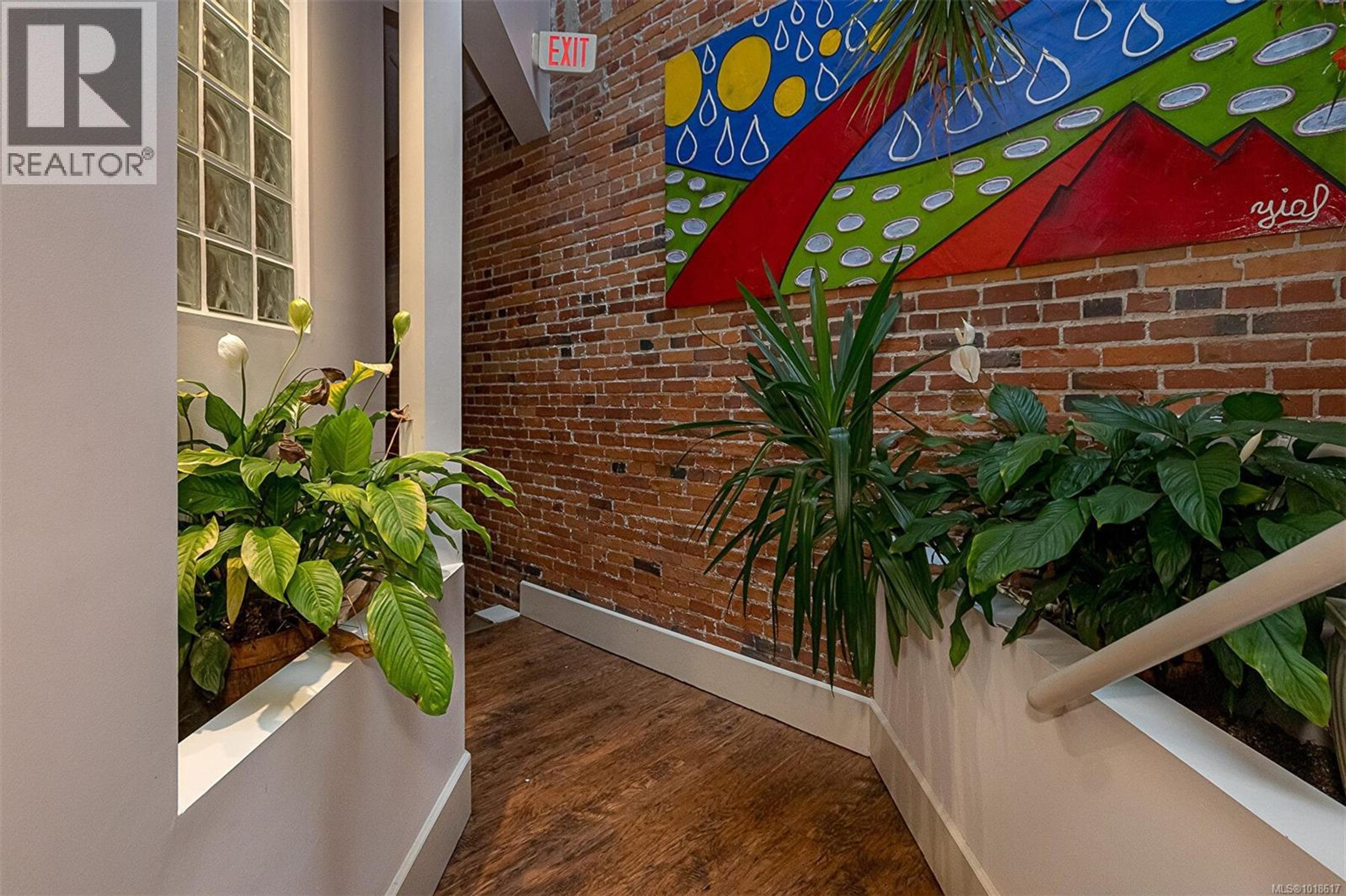 1407 Government St, Victoria - Common Areas - Lobbies / Hallways / Foyers - Photo 1