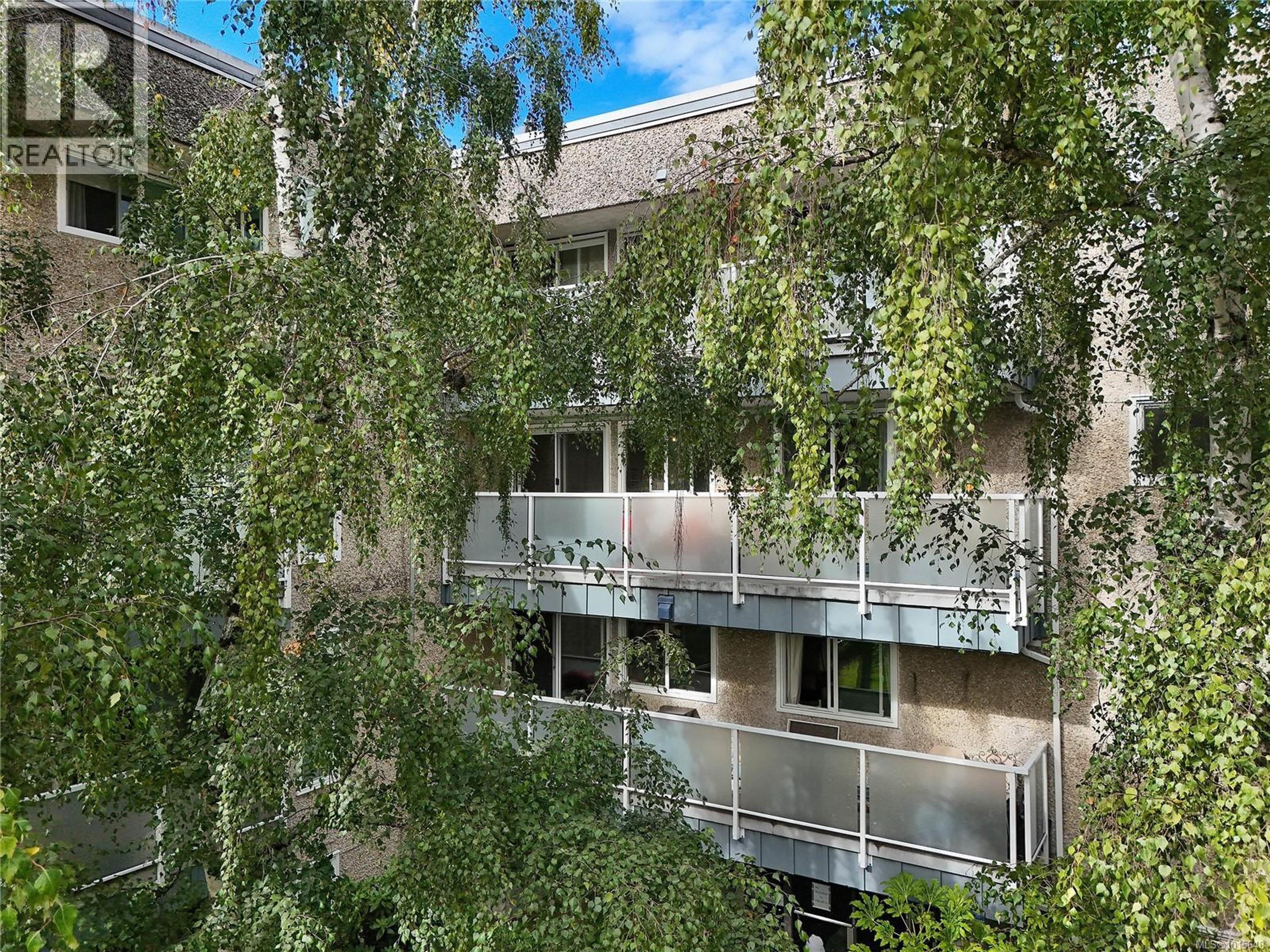 1366 Hillside Ave, Victoria - Exteriors - Photo 5