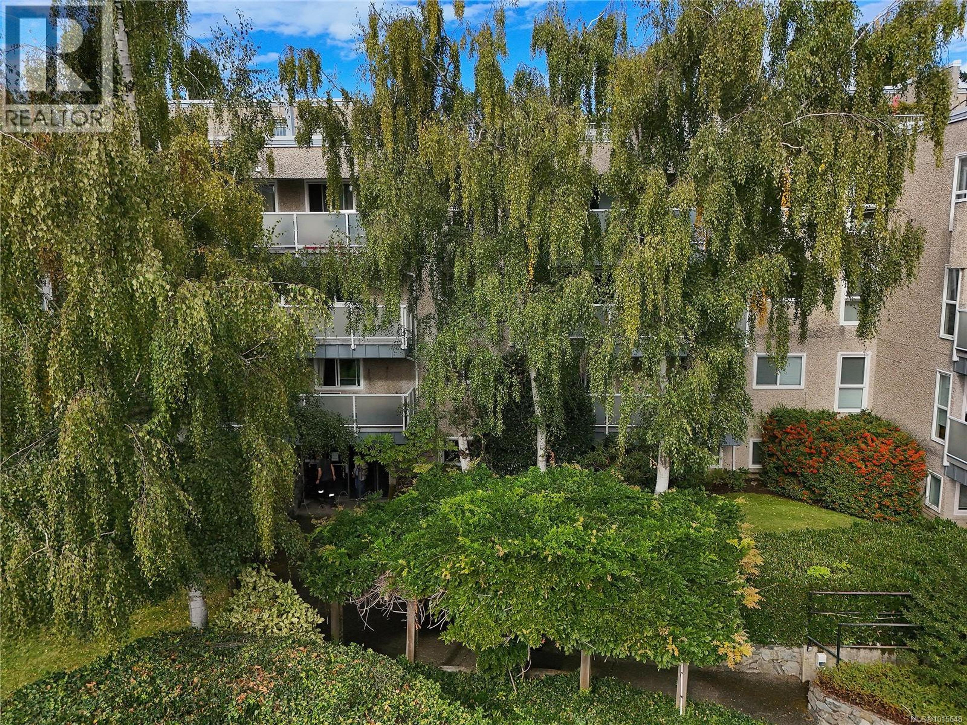 1366 Hillside Ave, Victoria - Exteriors - Photo 9