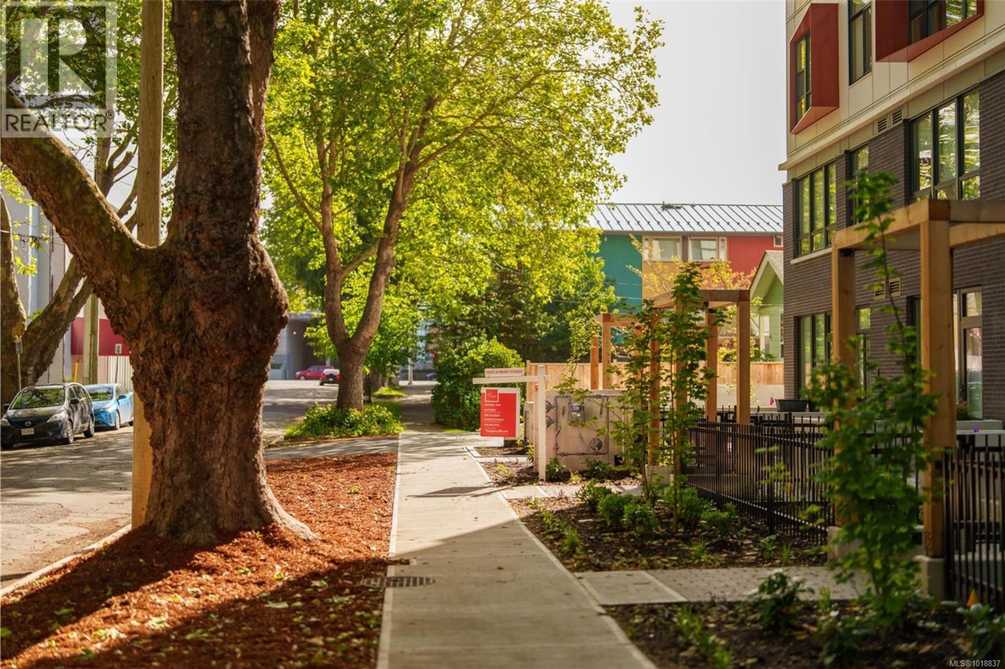 629 Speed Ave, Victoria - Exteriors - Photo 5