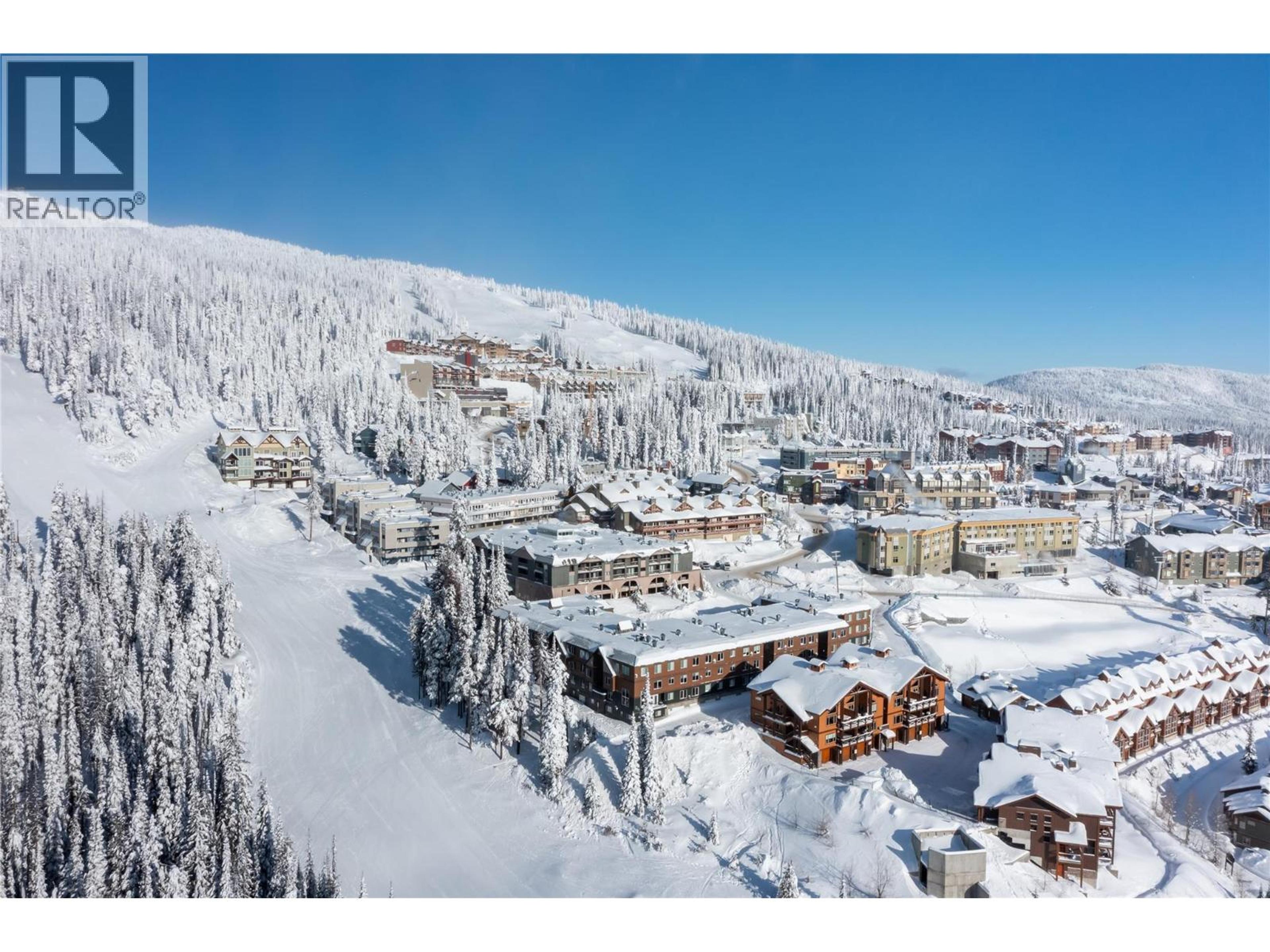 40 Kettle View Road, Big White - Exteriors - Full Complex View, Drone/Aerial View - Photo 10