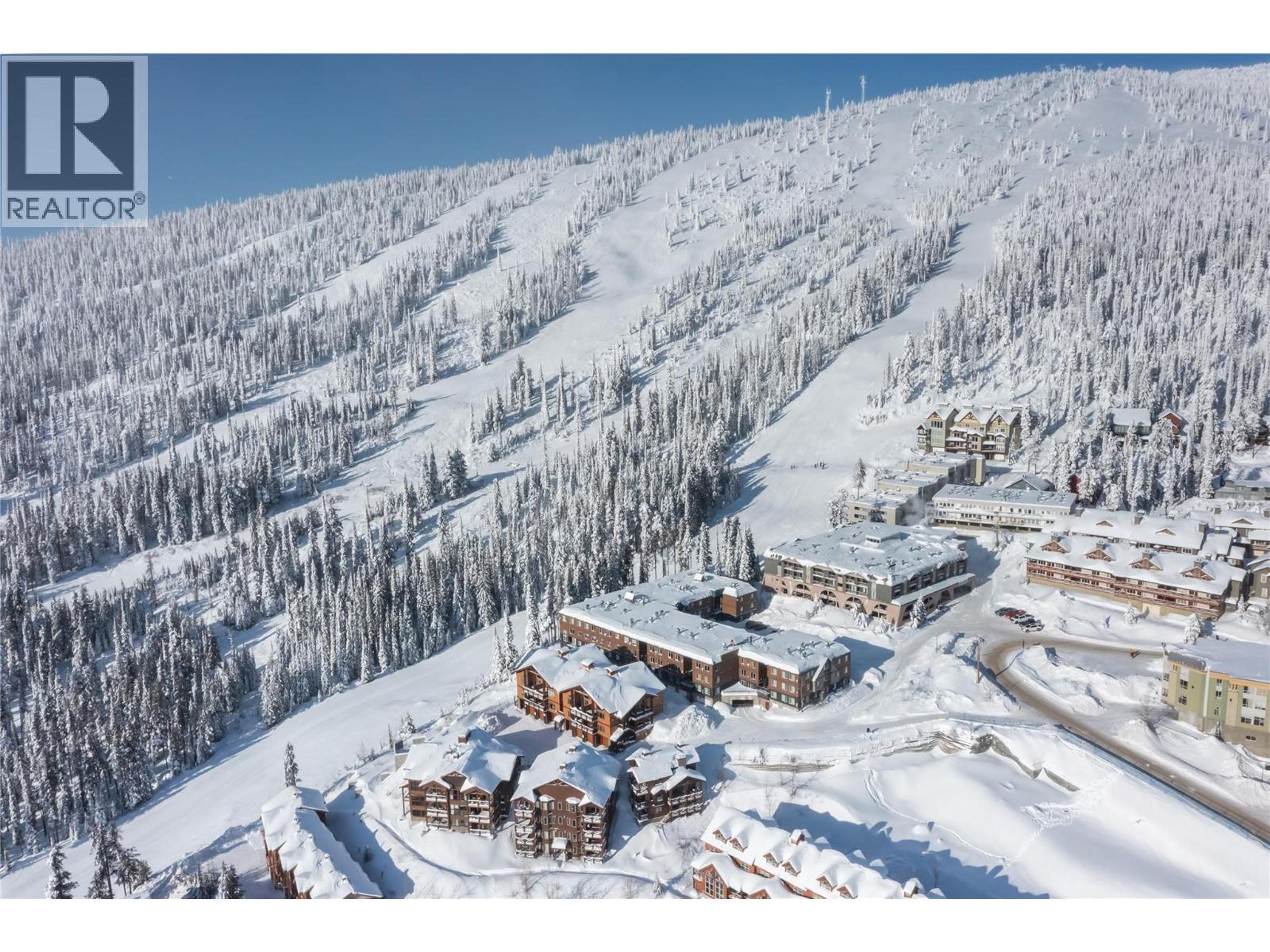 40 Kettle View Road, Big White - Exteriors - Full Complex View, Drone/Aerial View - Photo 12