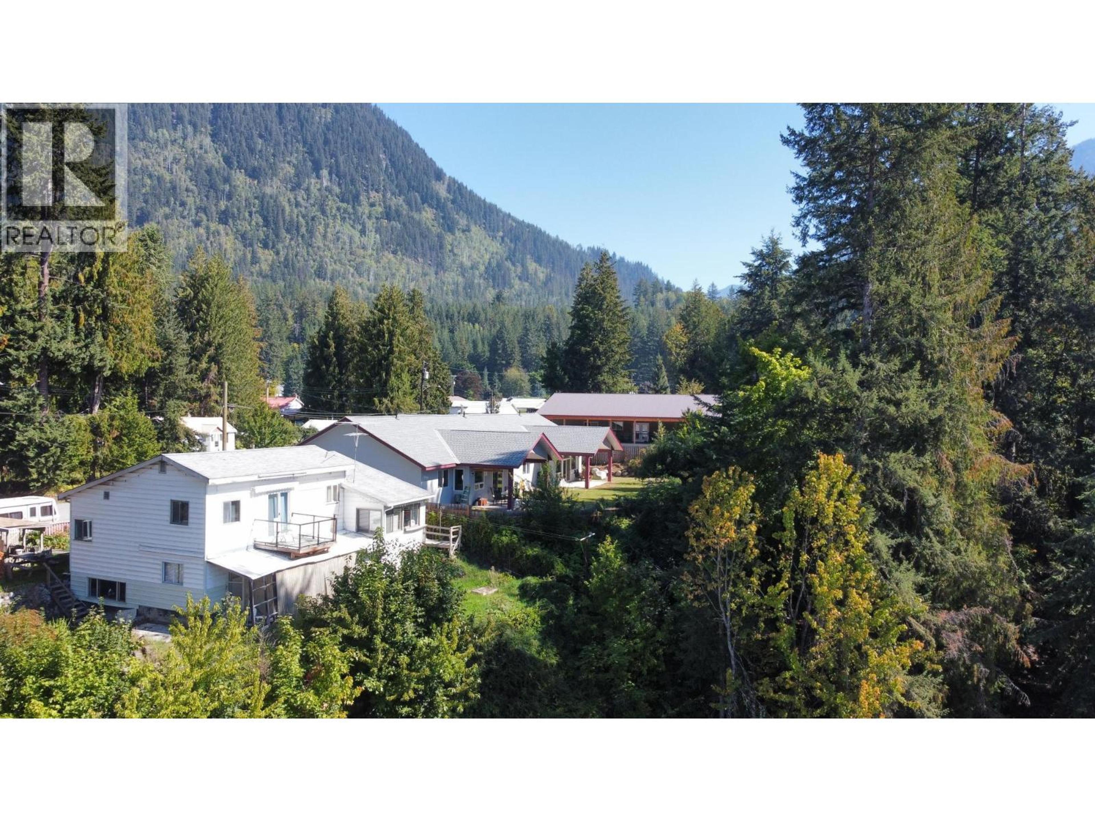 515 9TH Avenue, New Denver - Exteriors - Full Complex View, Drone/Aerial View - Photo 13