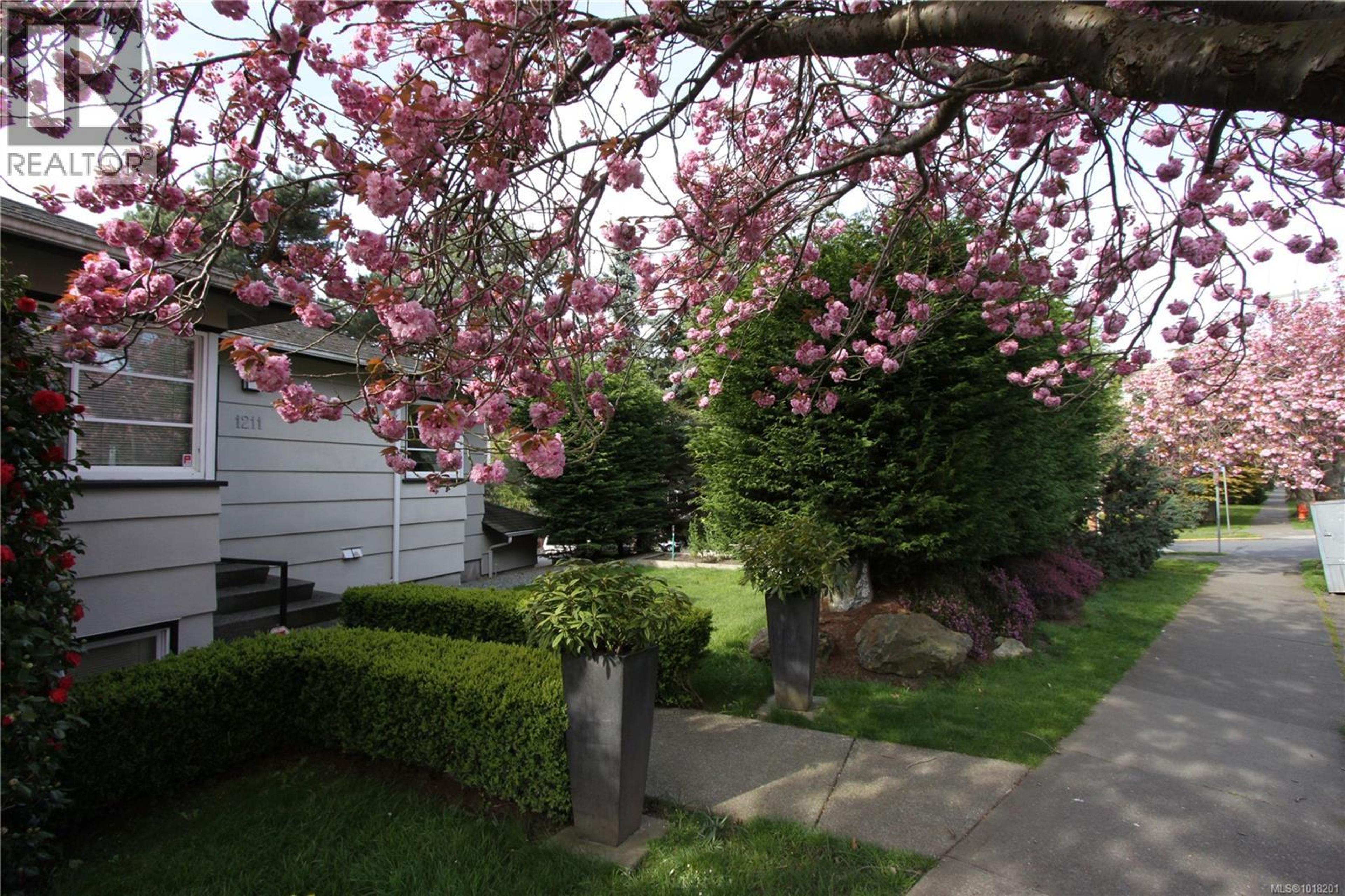 1211 Fairfield Rd, Victoria - Exteriors - Photo 5