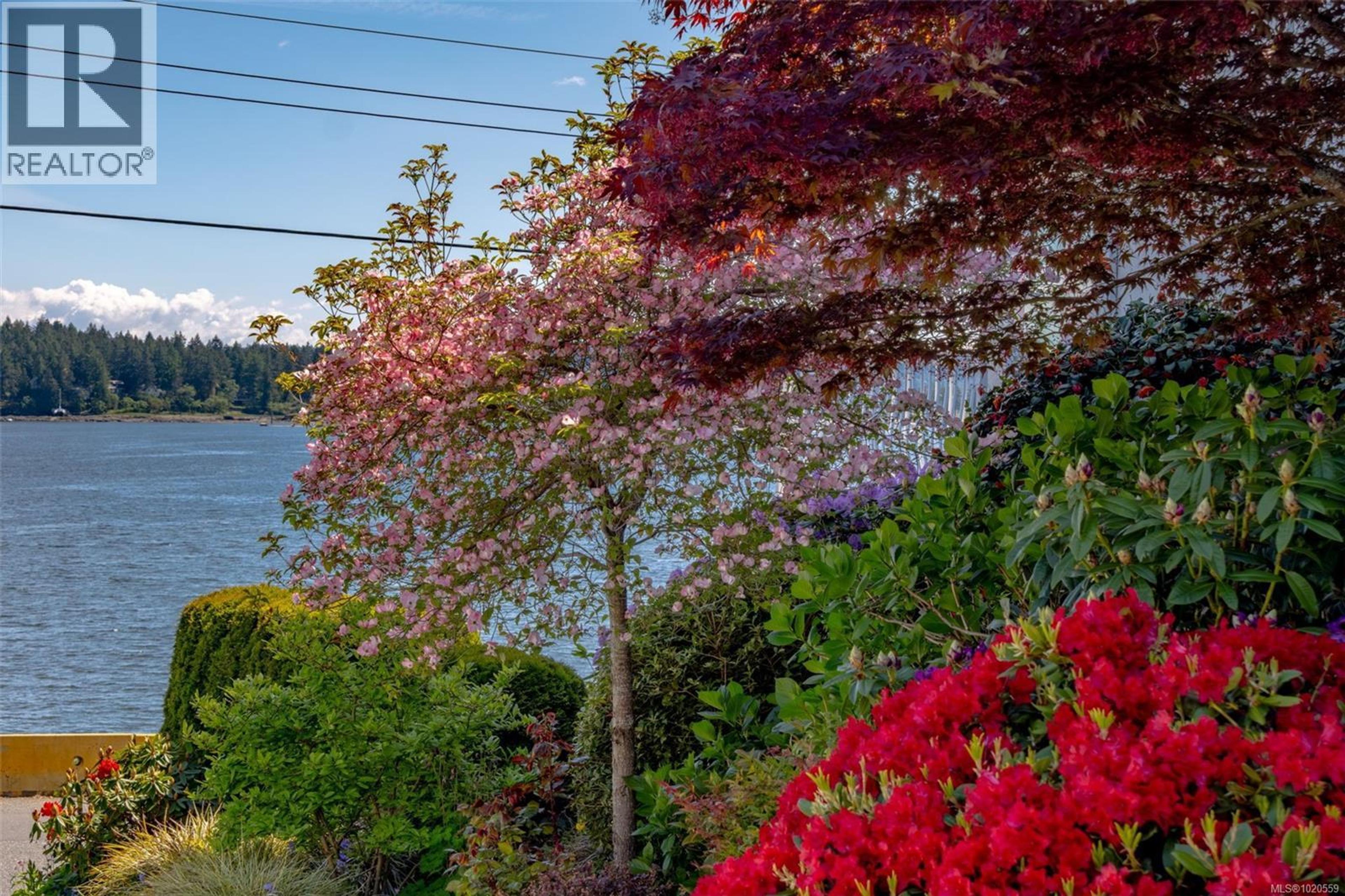 #402 55 DAWES ST - 58