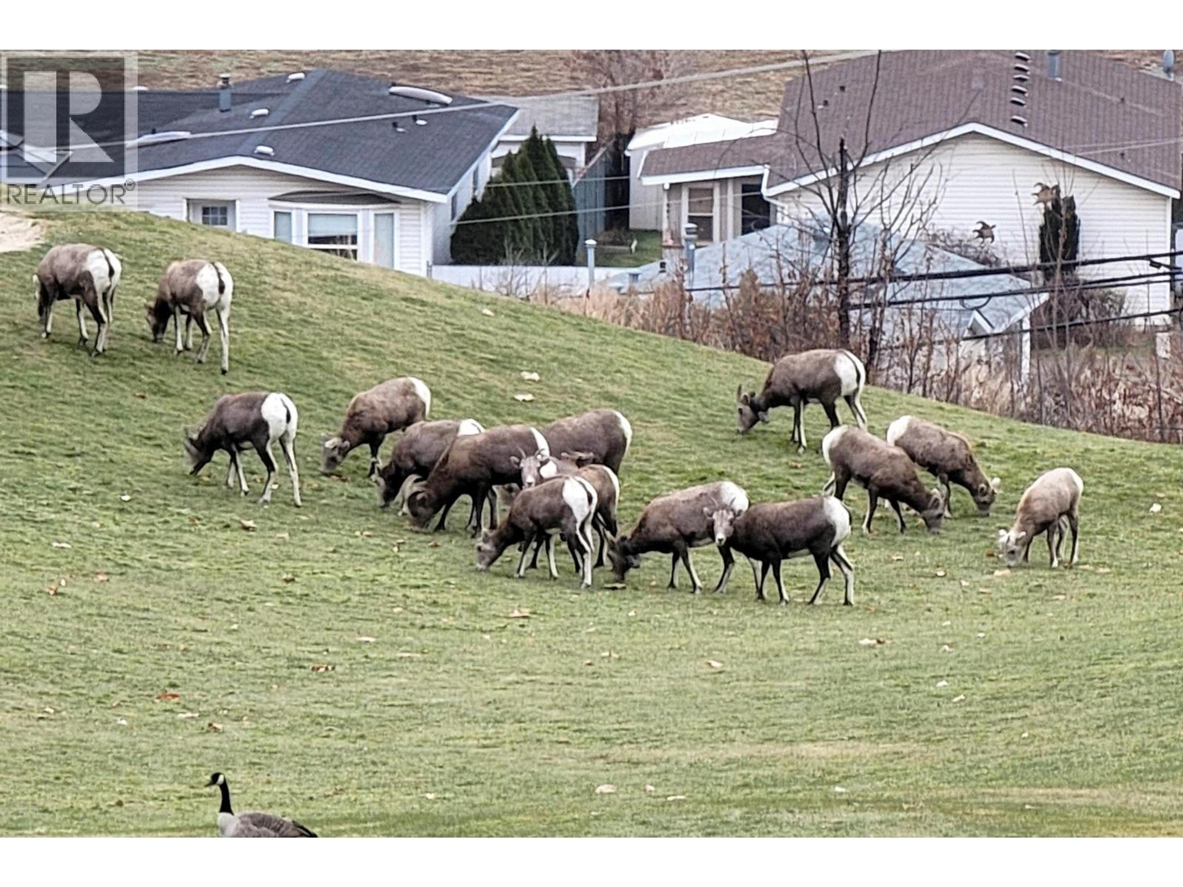 302 MARIPOSA COURT - 52