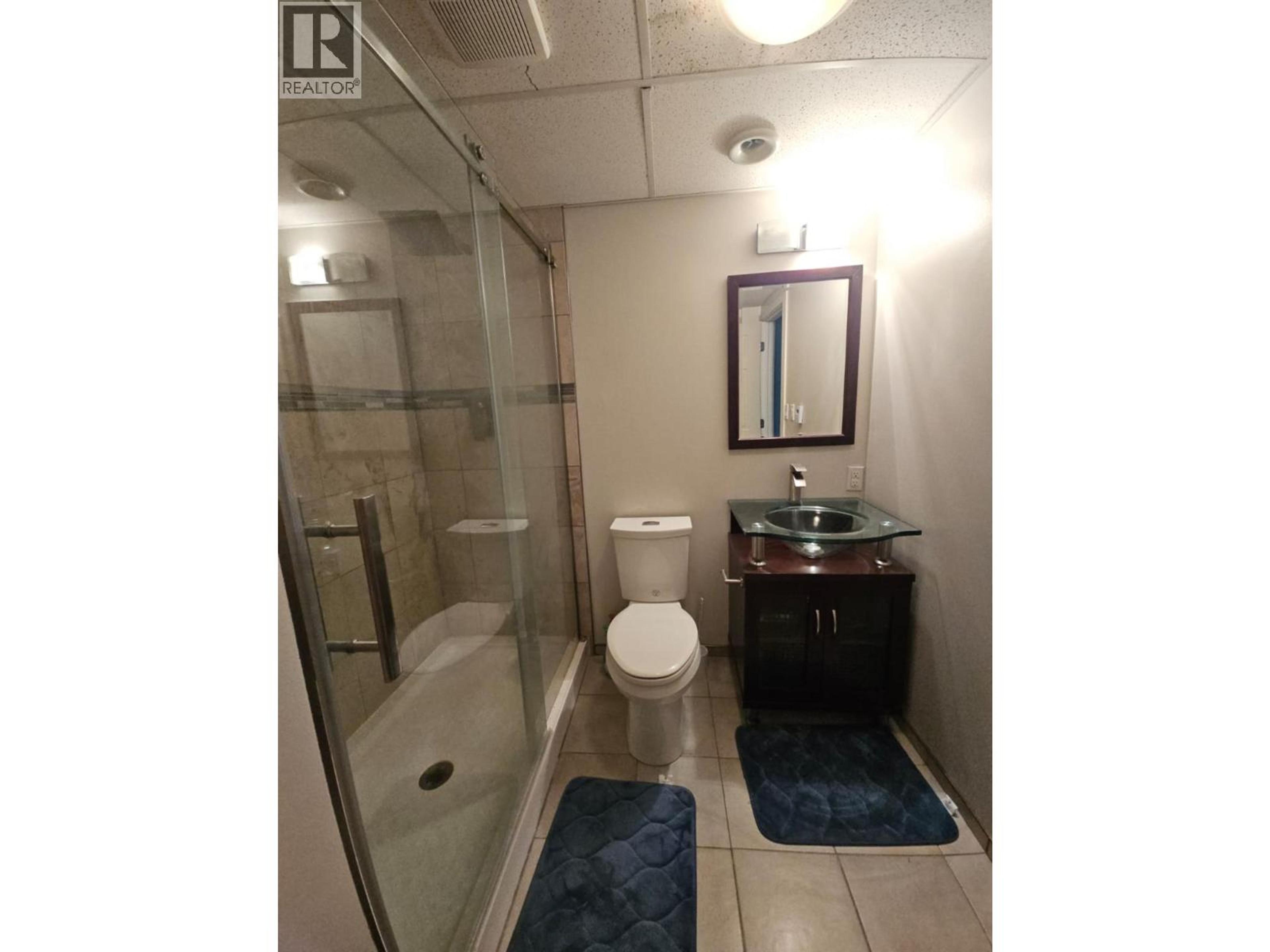 256 PEACE RIVER CRESCENT - 43