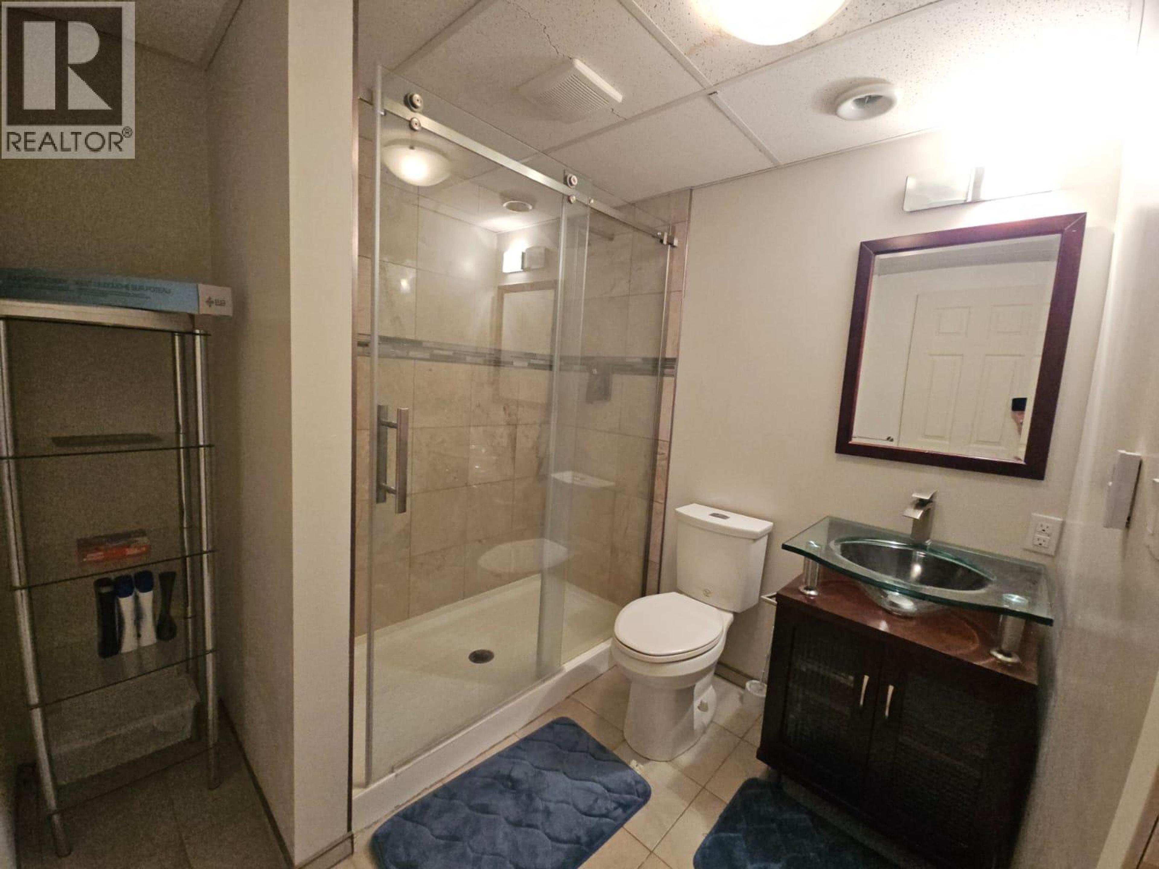 256 PEACE RIVER CRESCENT - 41