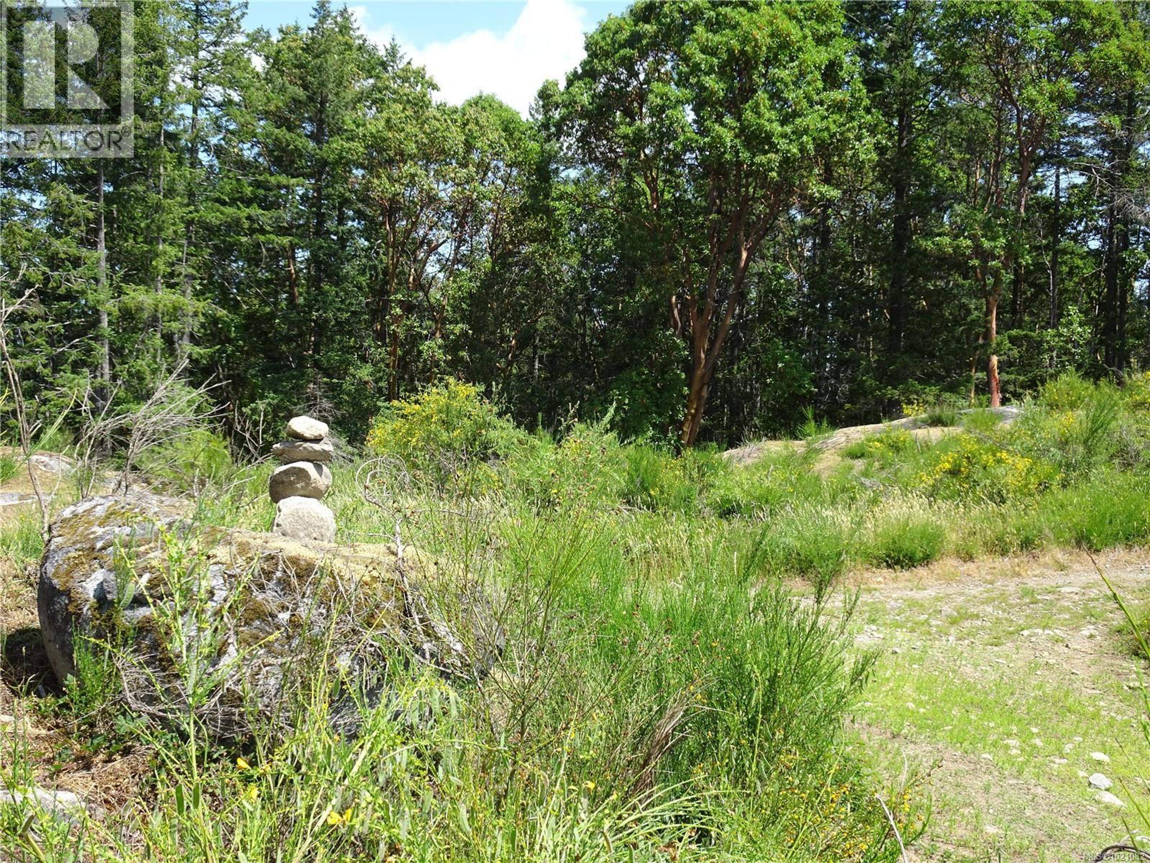 LT7 HUNTER WAY - Image 8