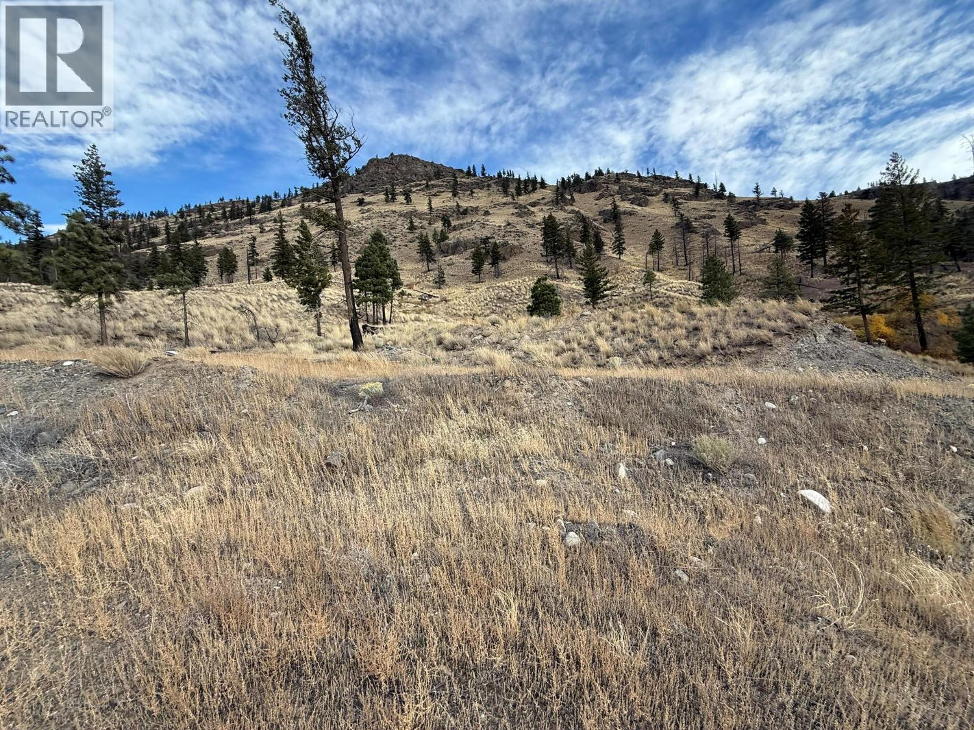 3580 CARIBOO  97 HIGHWAY - 19