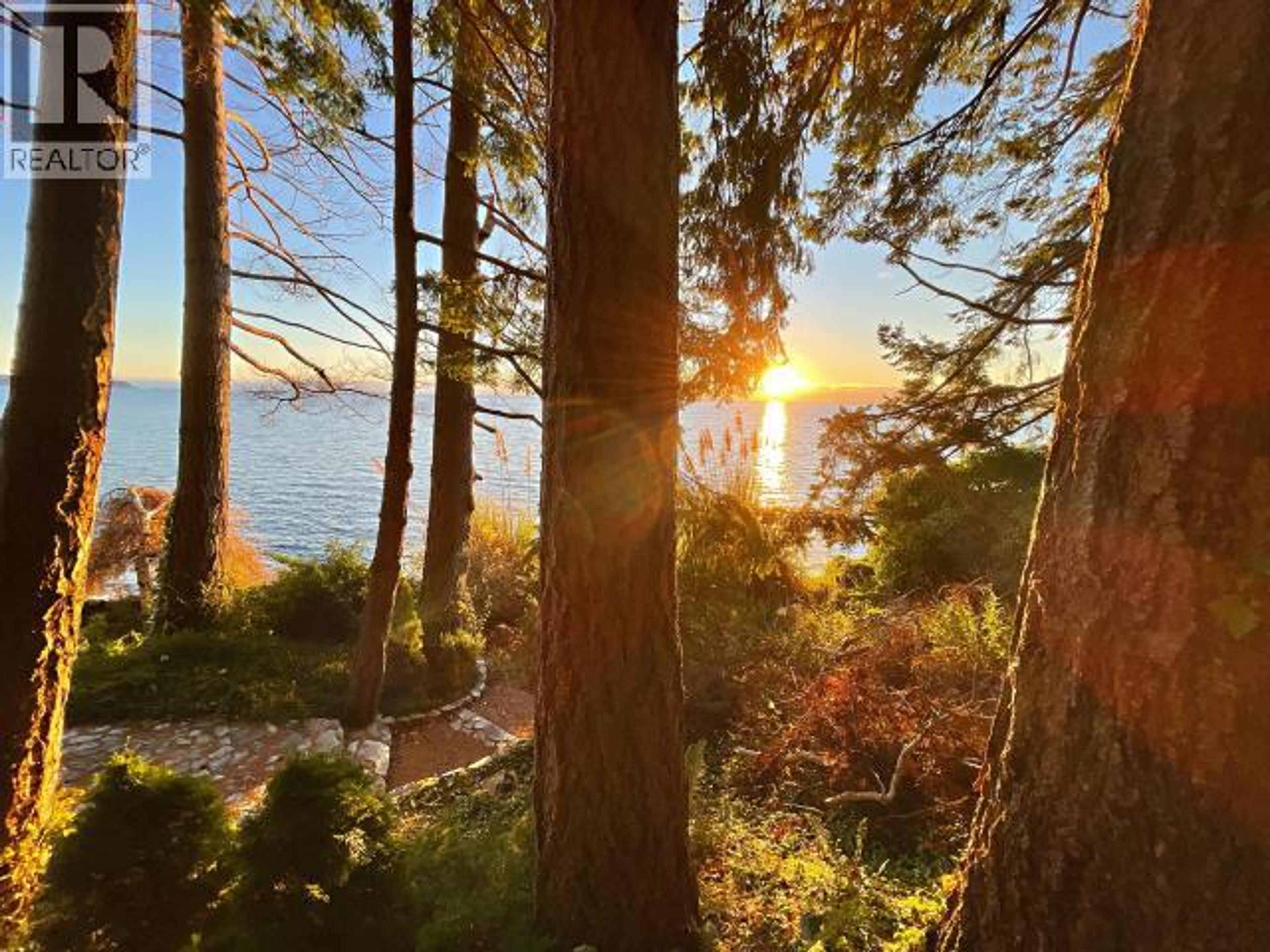 3377 ATREVIDA ROAD - 66