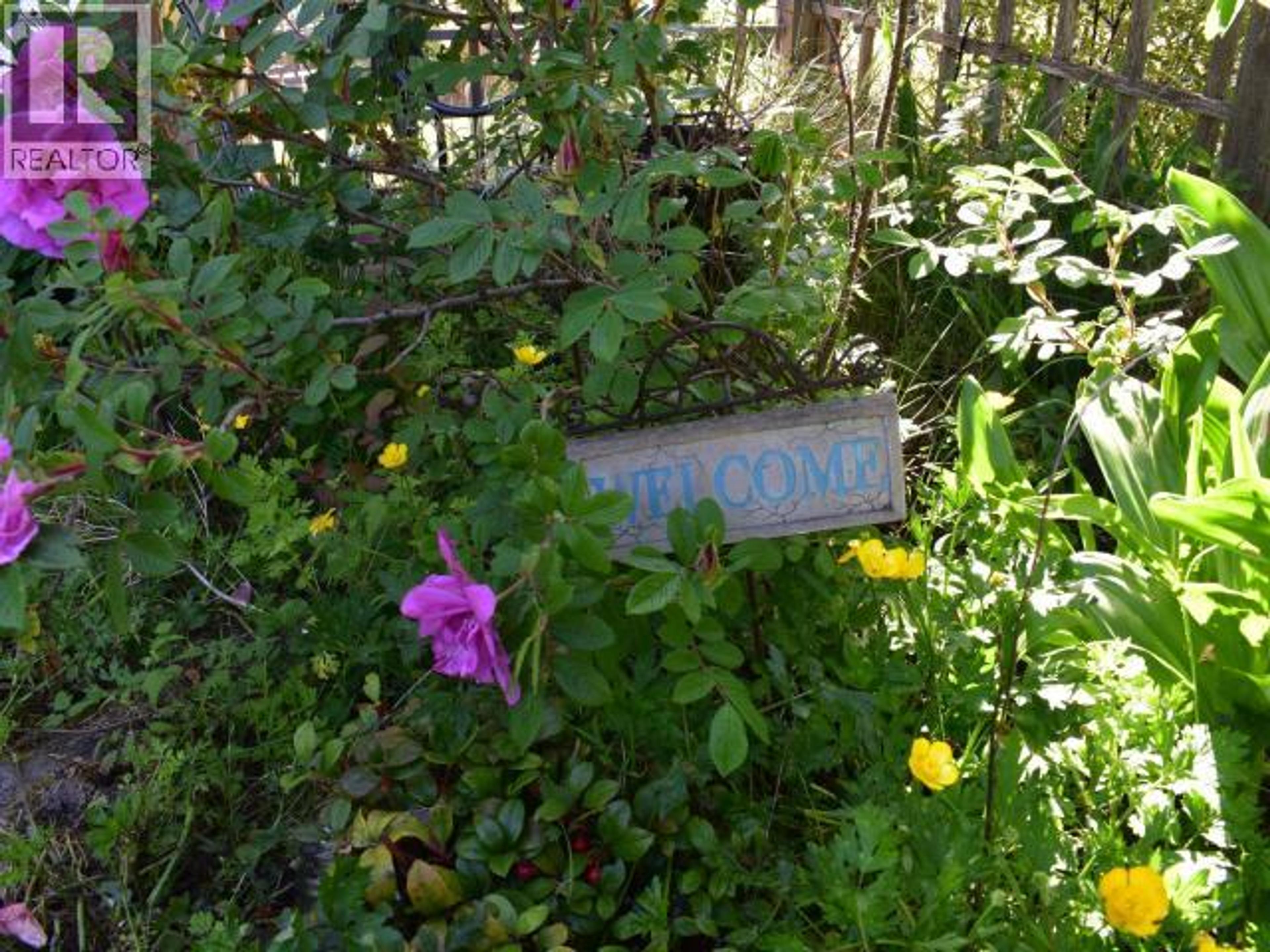 4810 SANDERSON ROAD - 6