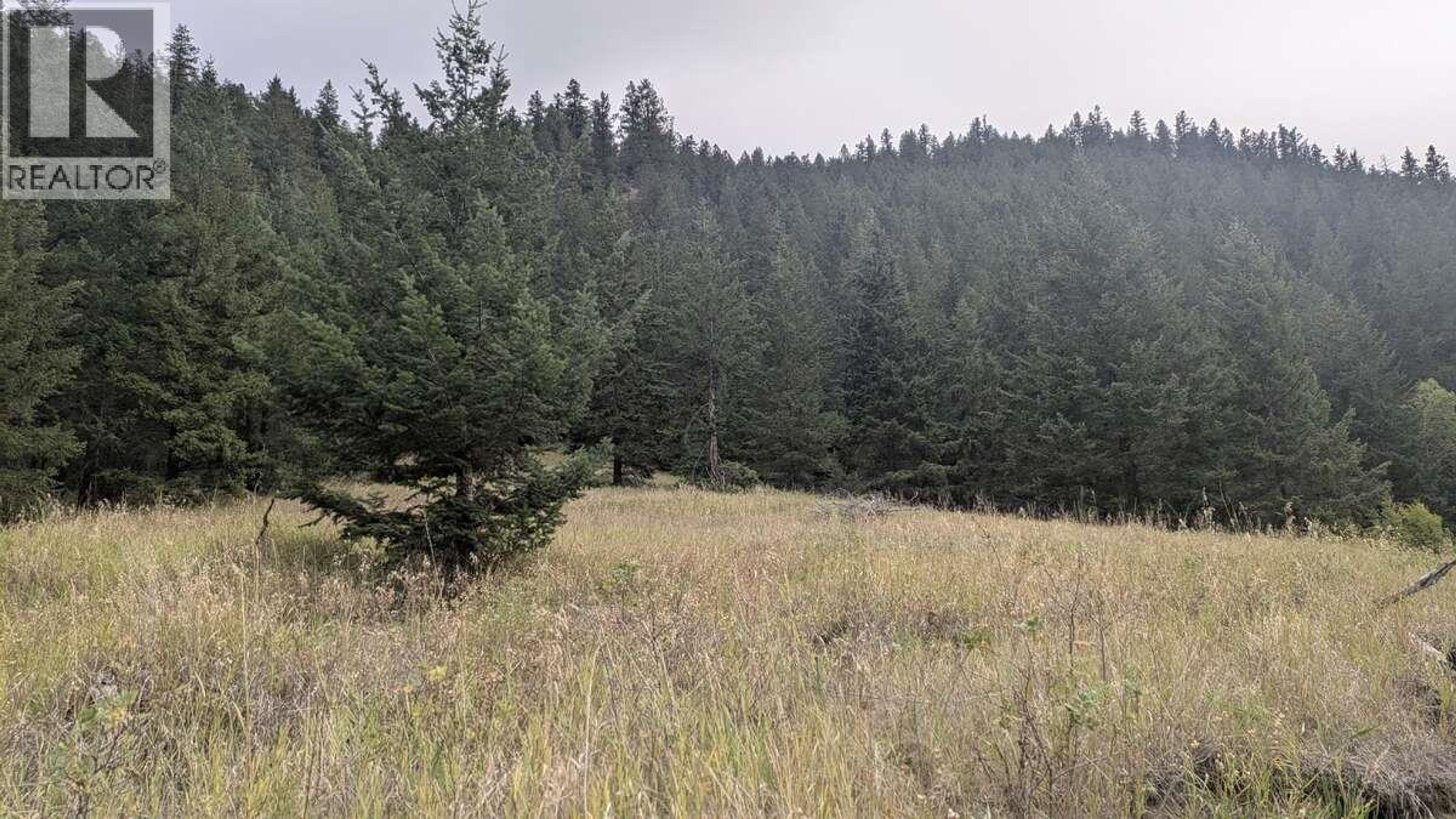 6930 BIG BAR ROAD - 4