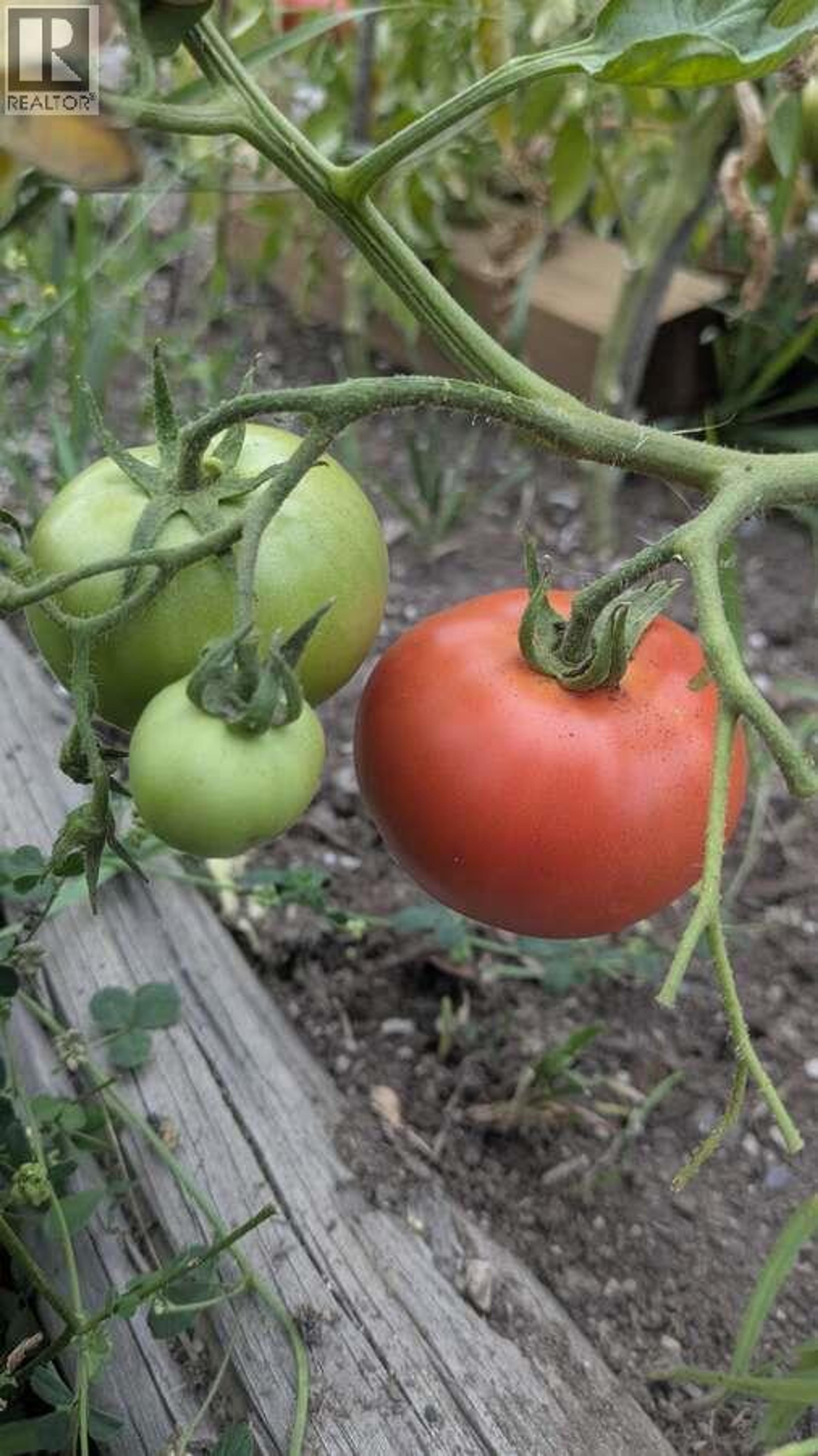 6930 BIG BAR ROAD - 33