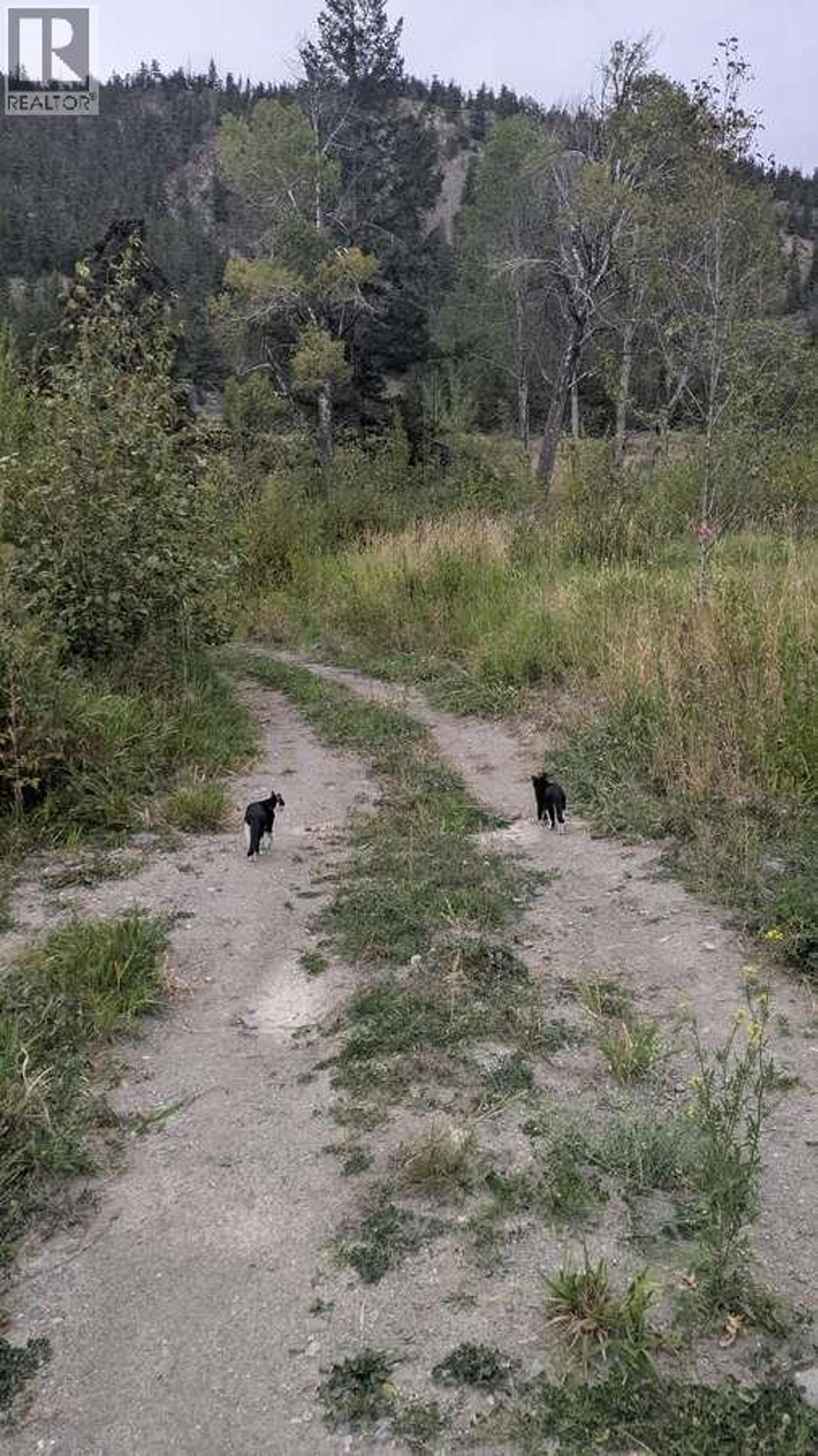 6930 BIG BAR ROAD - 39