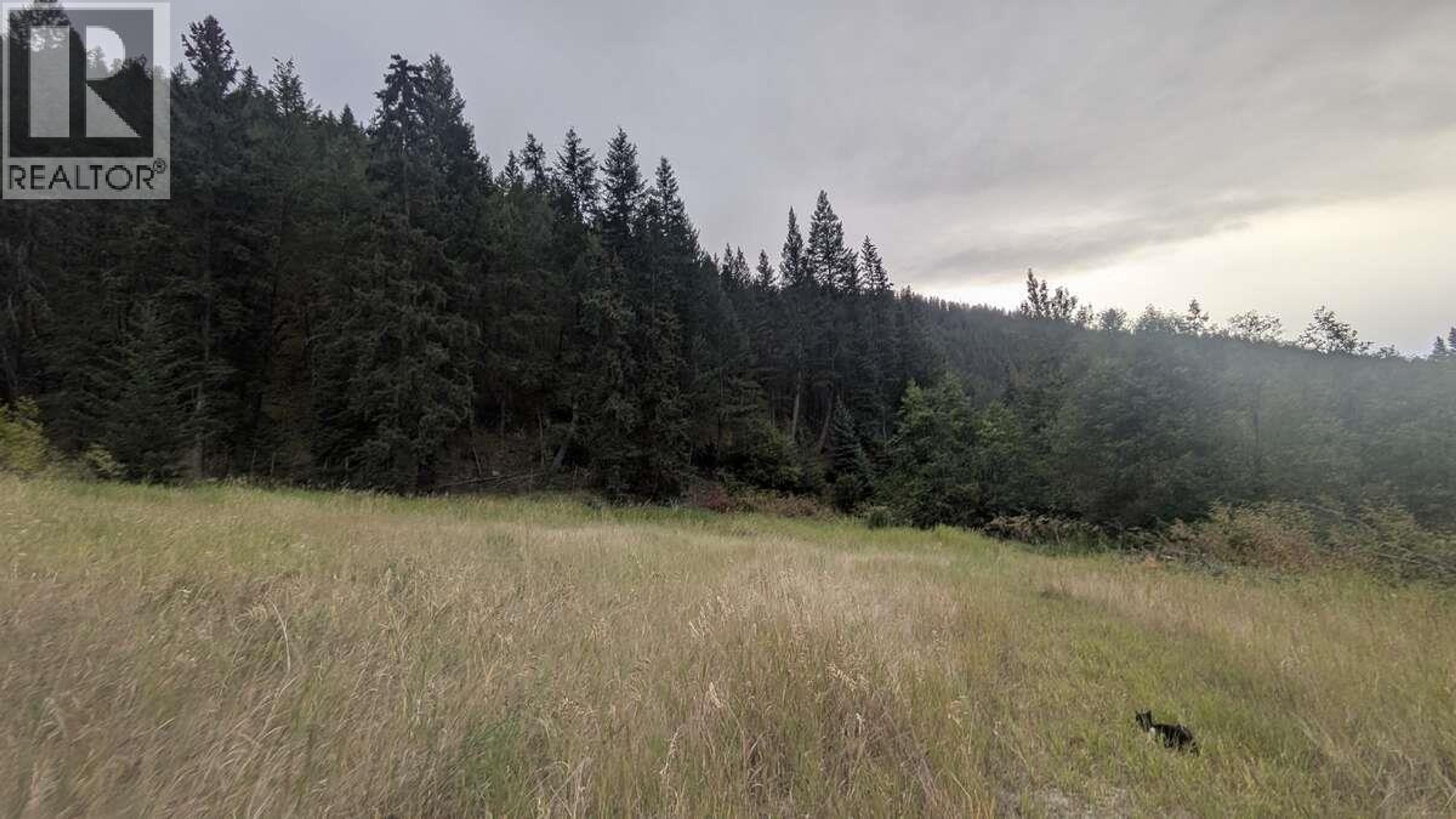 6930 BIG BAR ROAD - 50