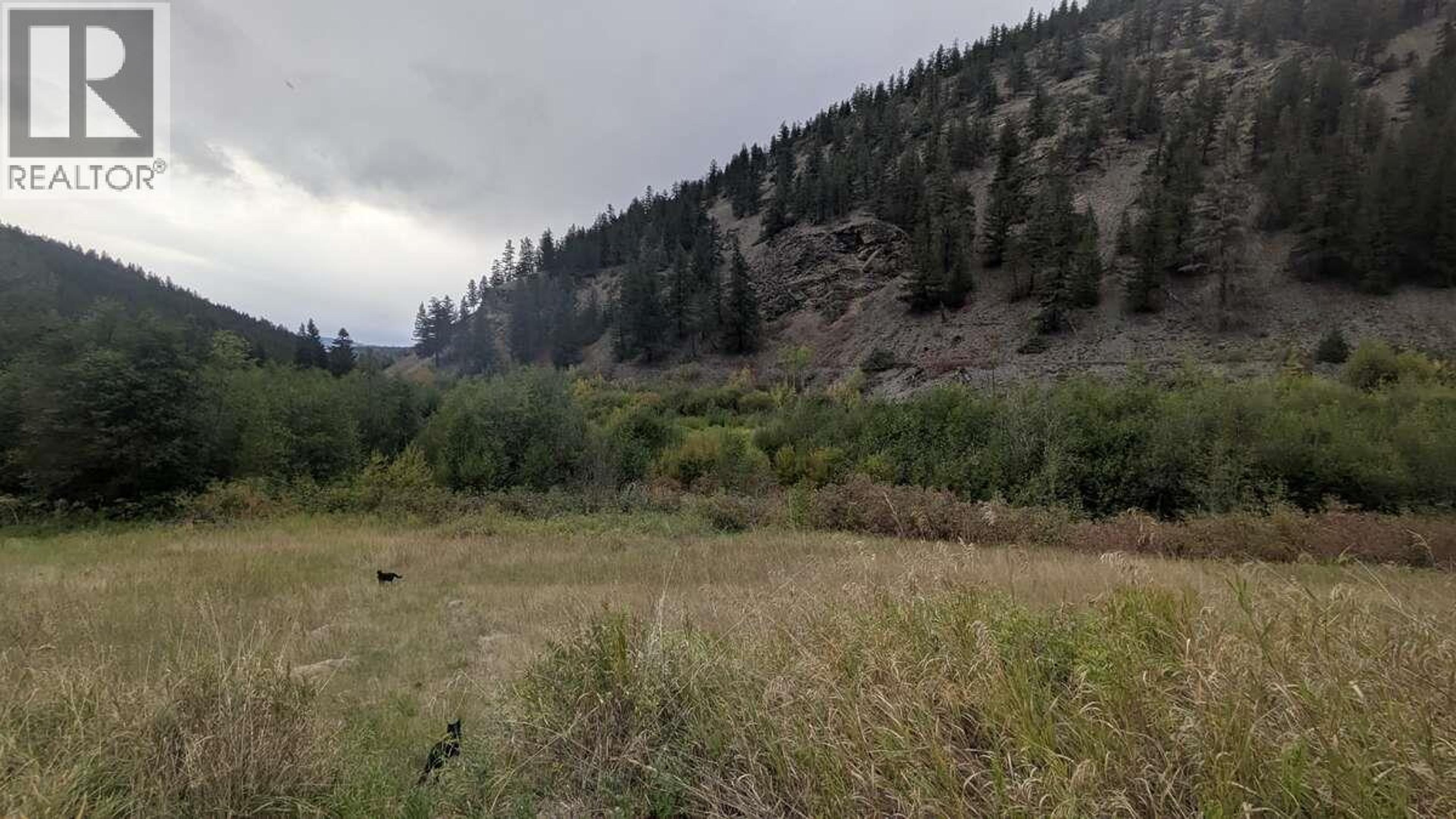 6930 BIG BAR ROAD - 17