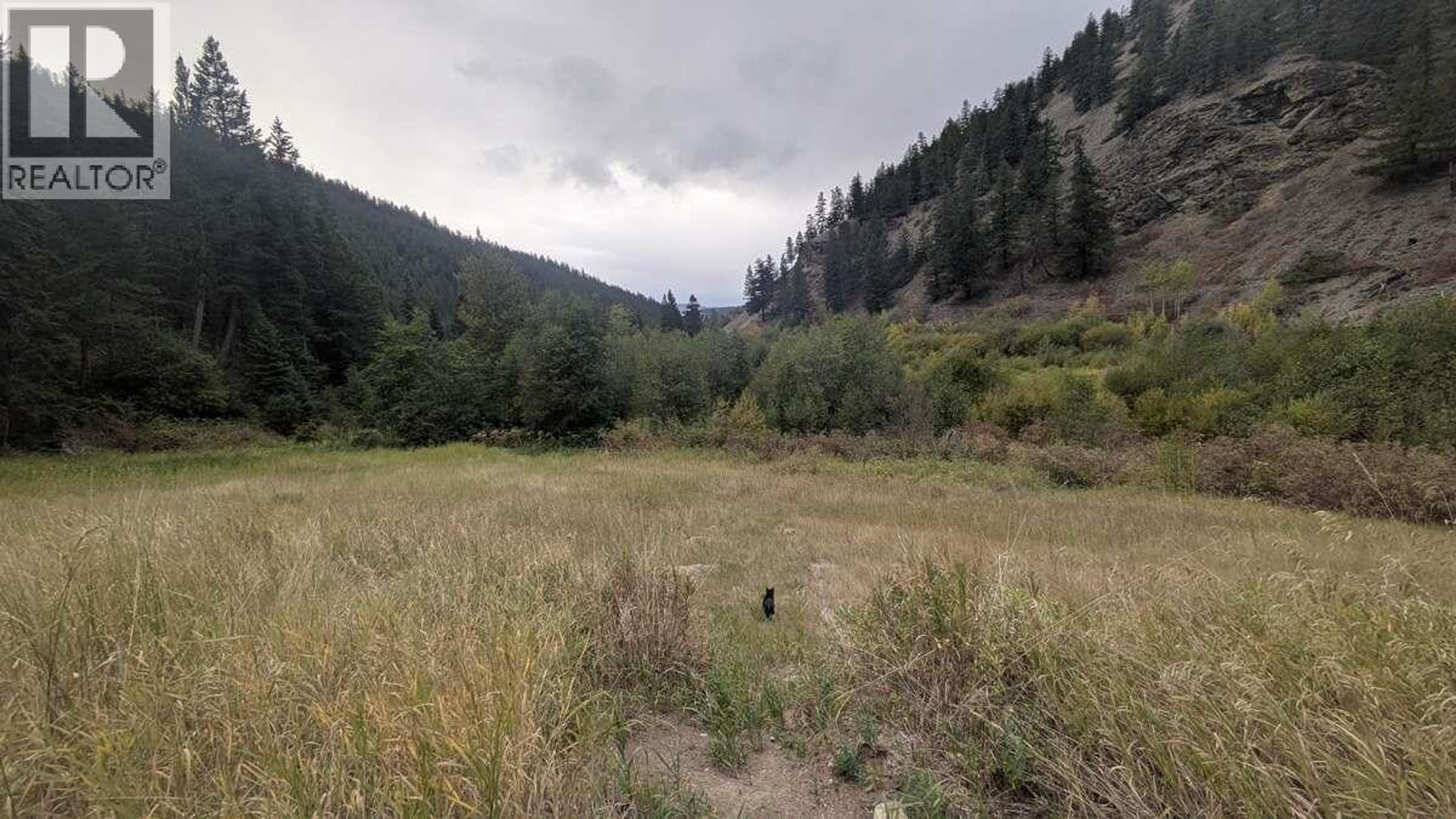 6930 BIG BAR ROAD - 14