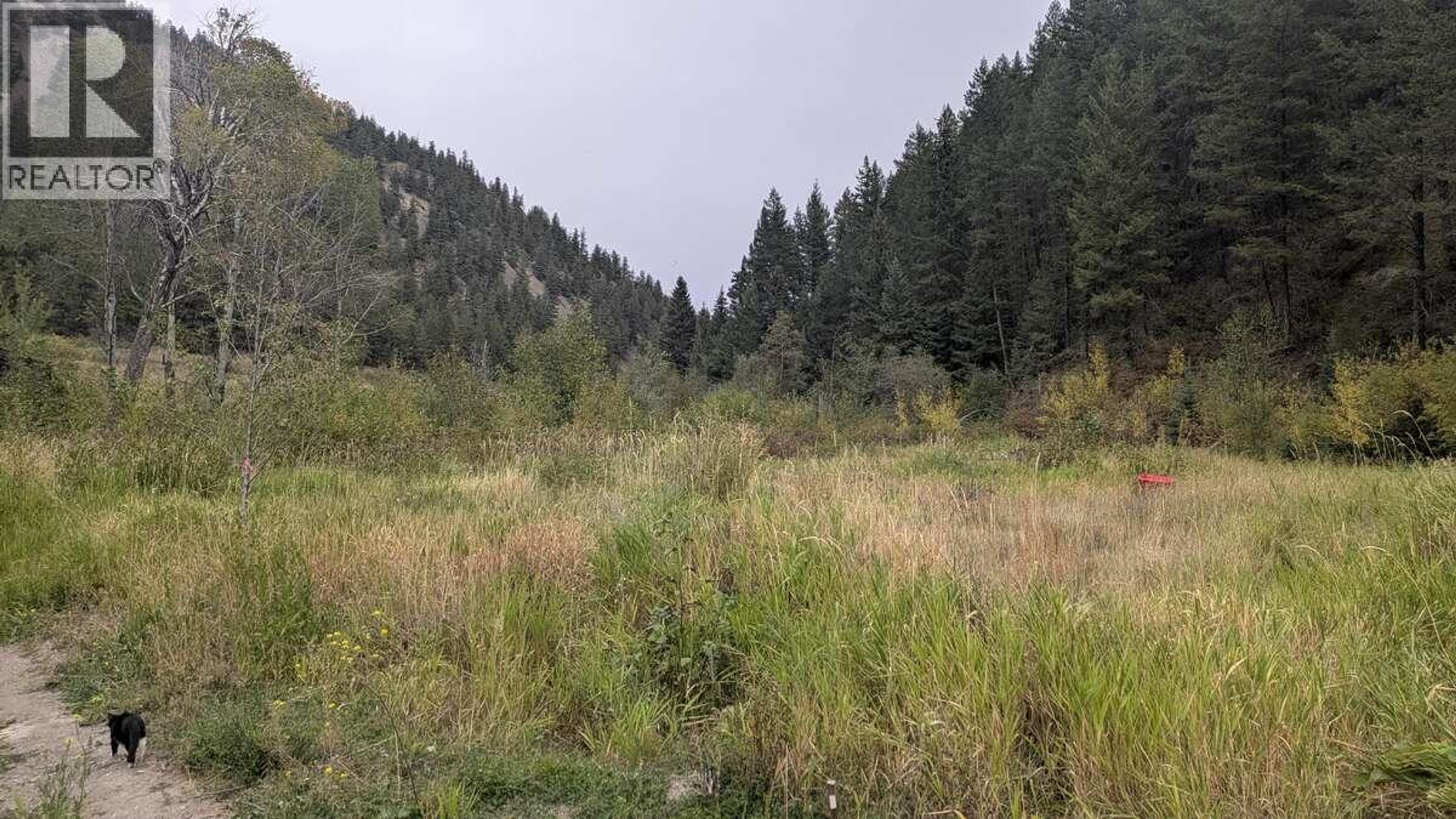 6930 BIG BAR ROAD - 40