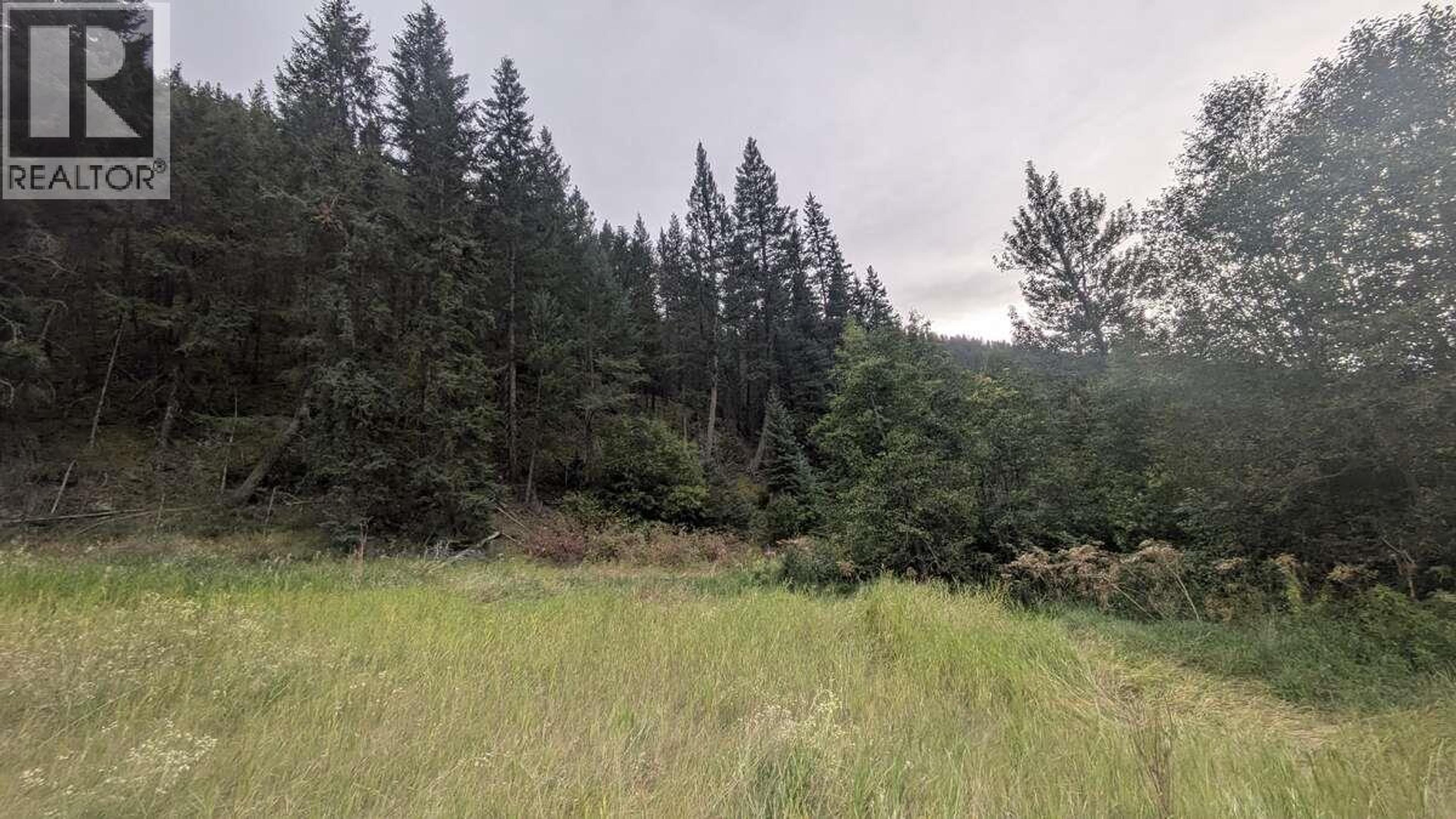 6930 BIG BAR ROAD - 42