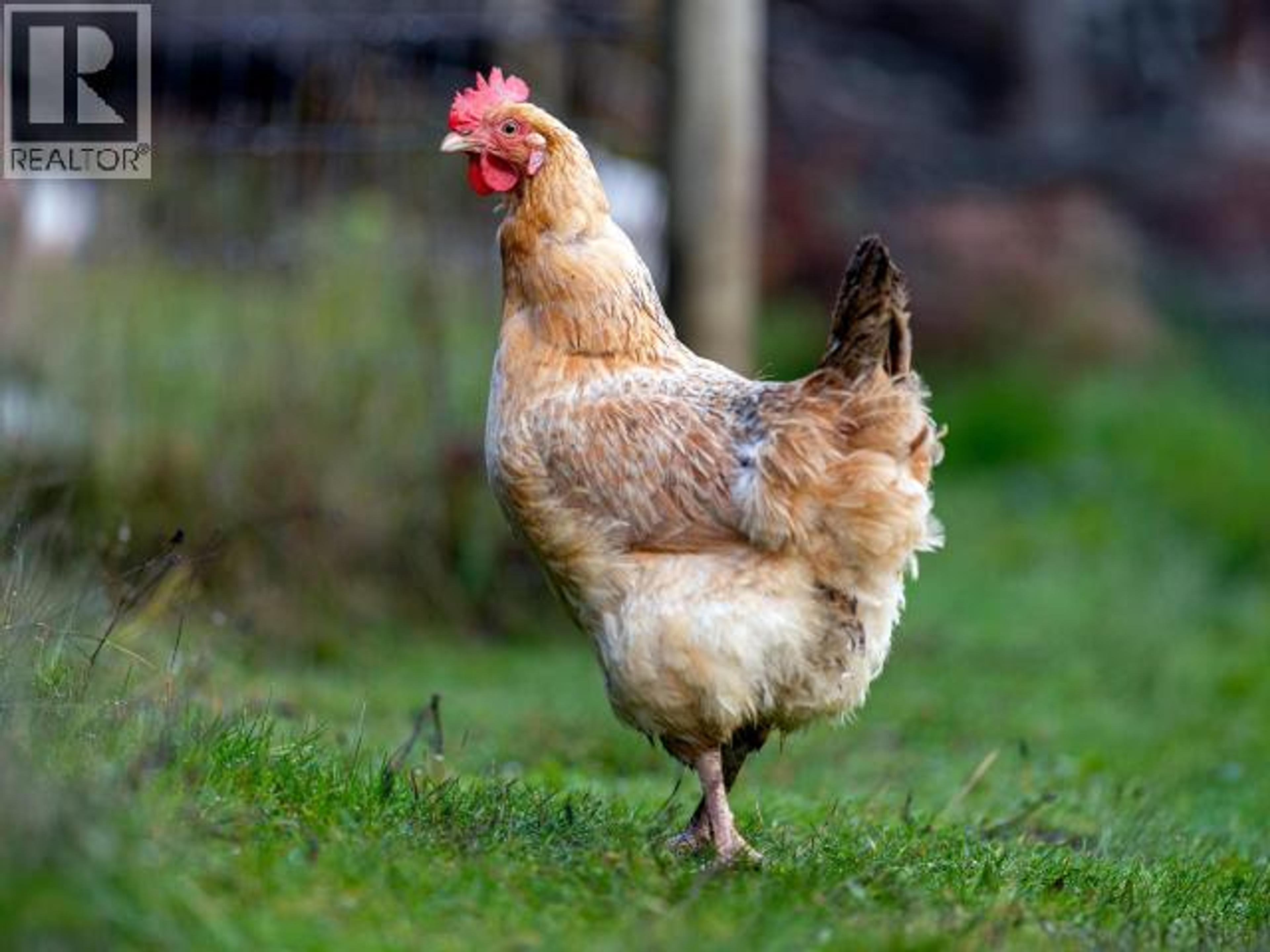 2560 MAYWOOD ROAD - 39