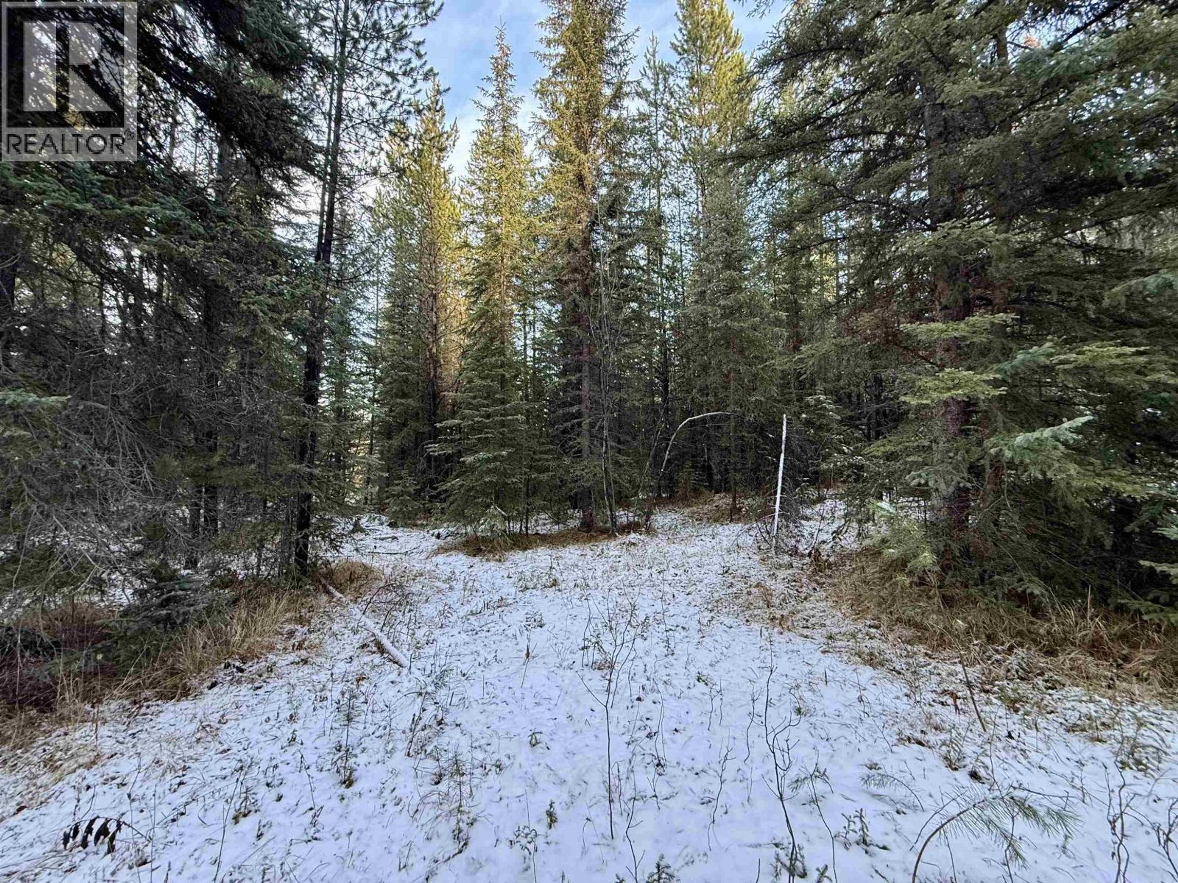 6305 RENNEY ROAD - 19