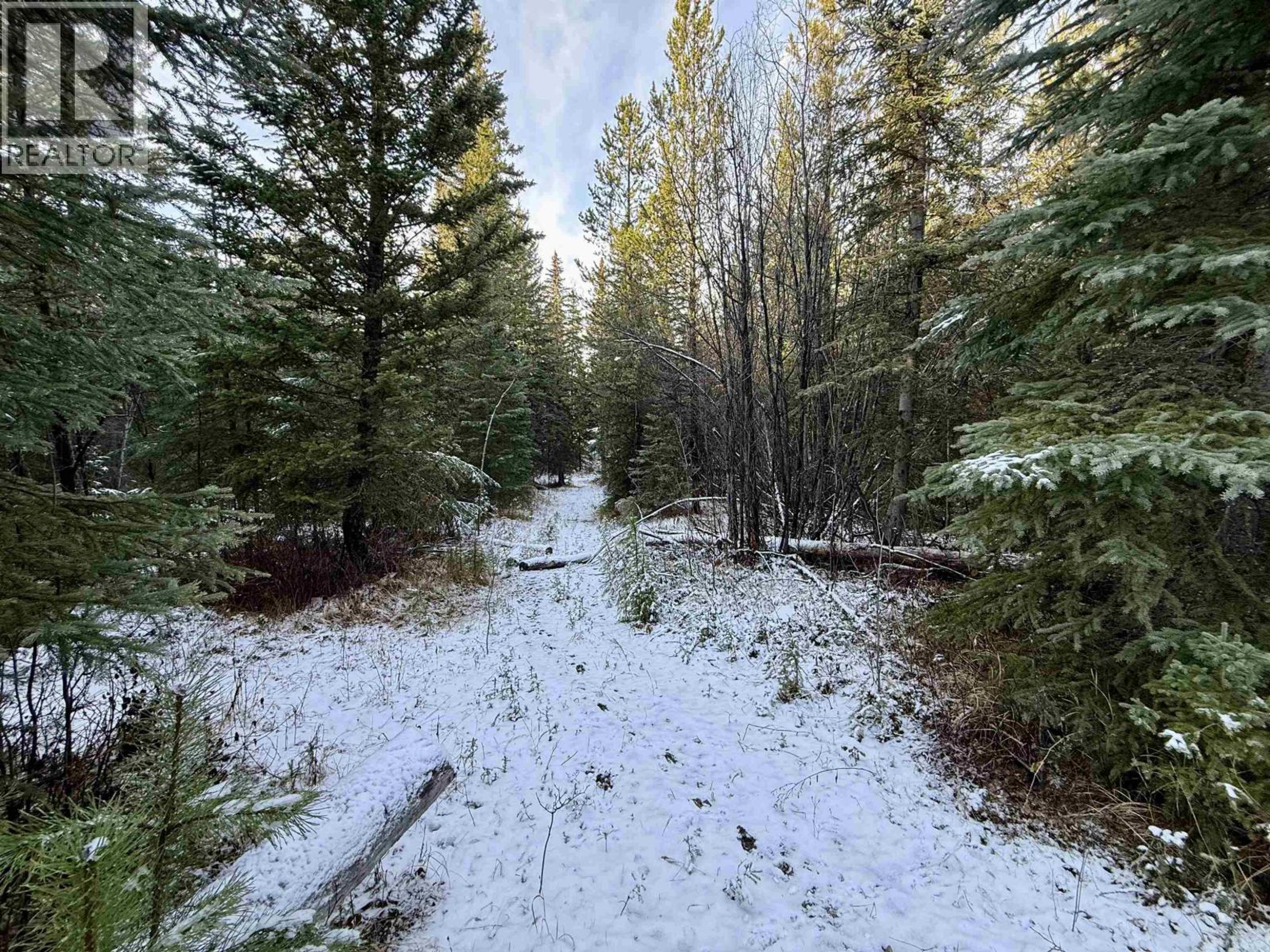 6305 RENNEY ROAD - 20