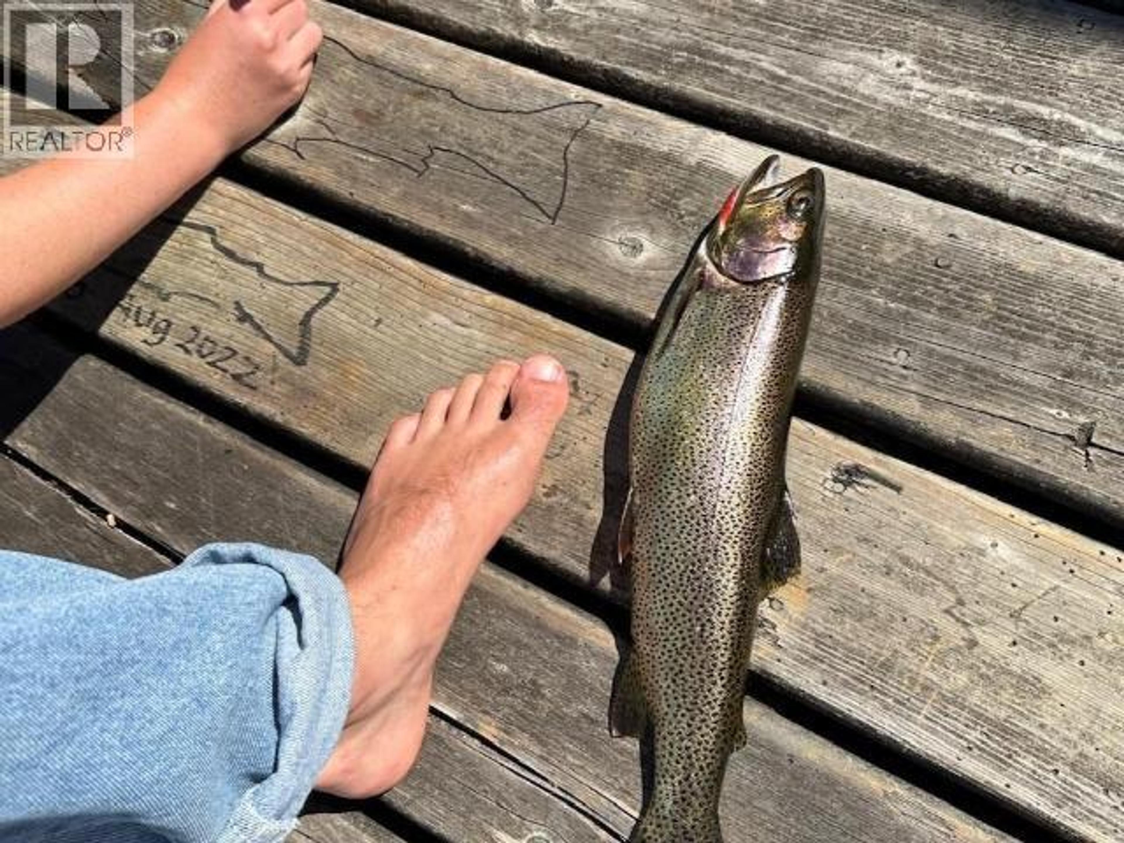 10472 POWELL LAKE - 31