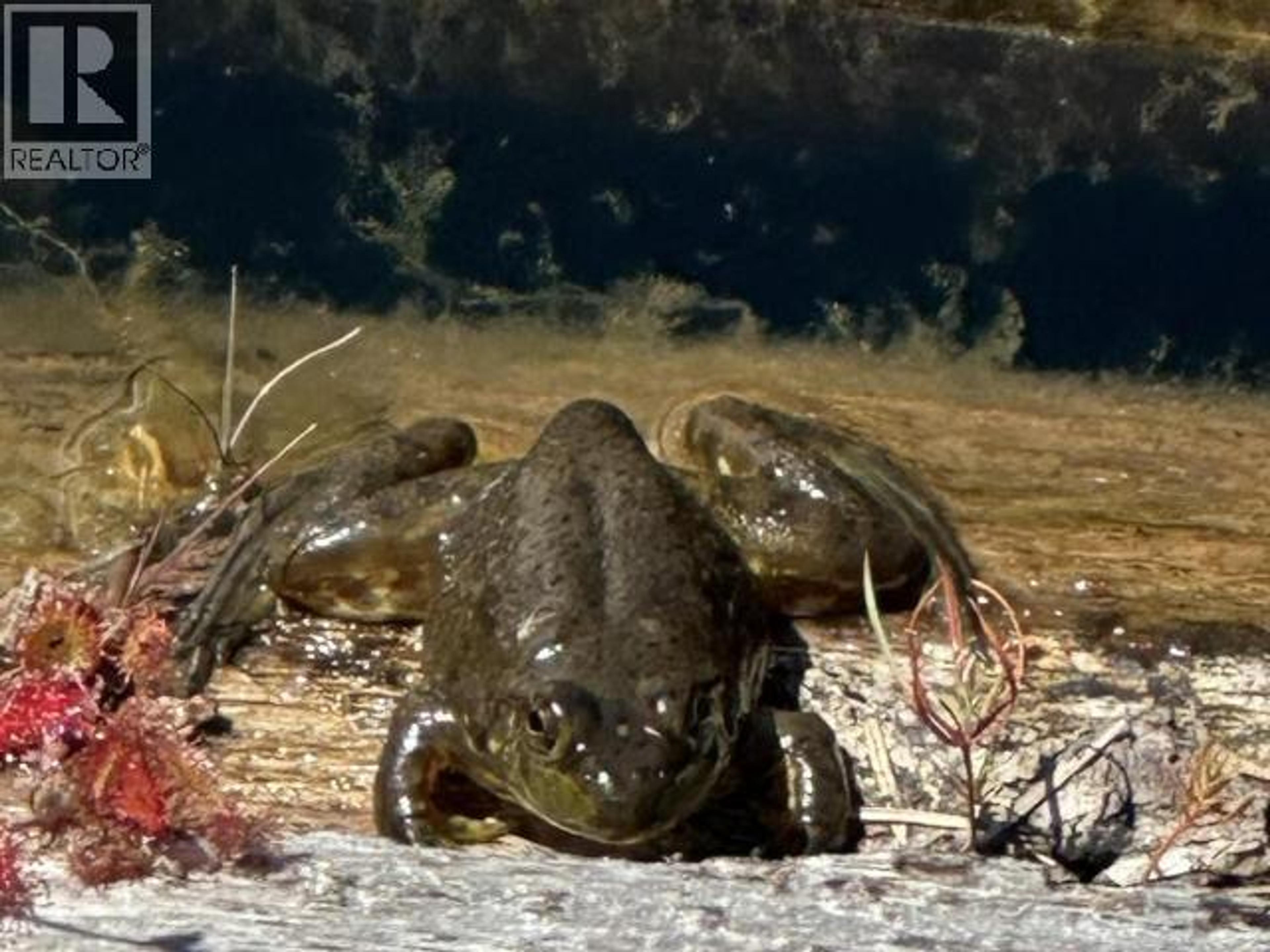 10472 POWELL LAKE - 30