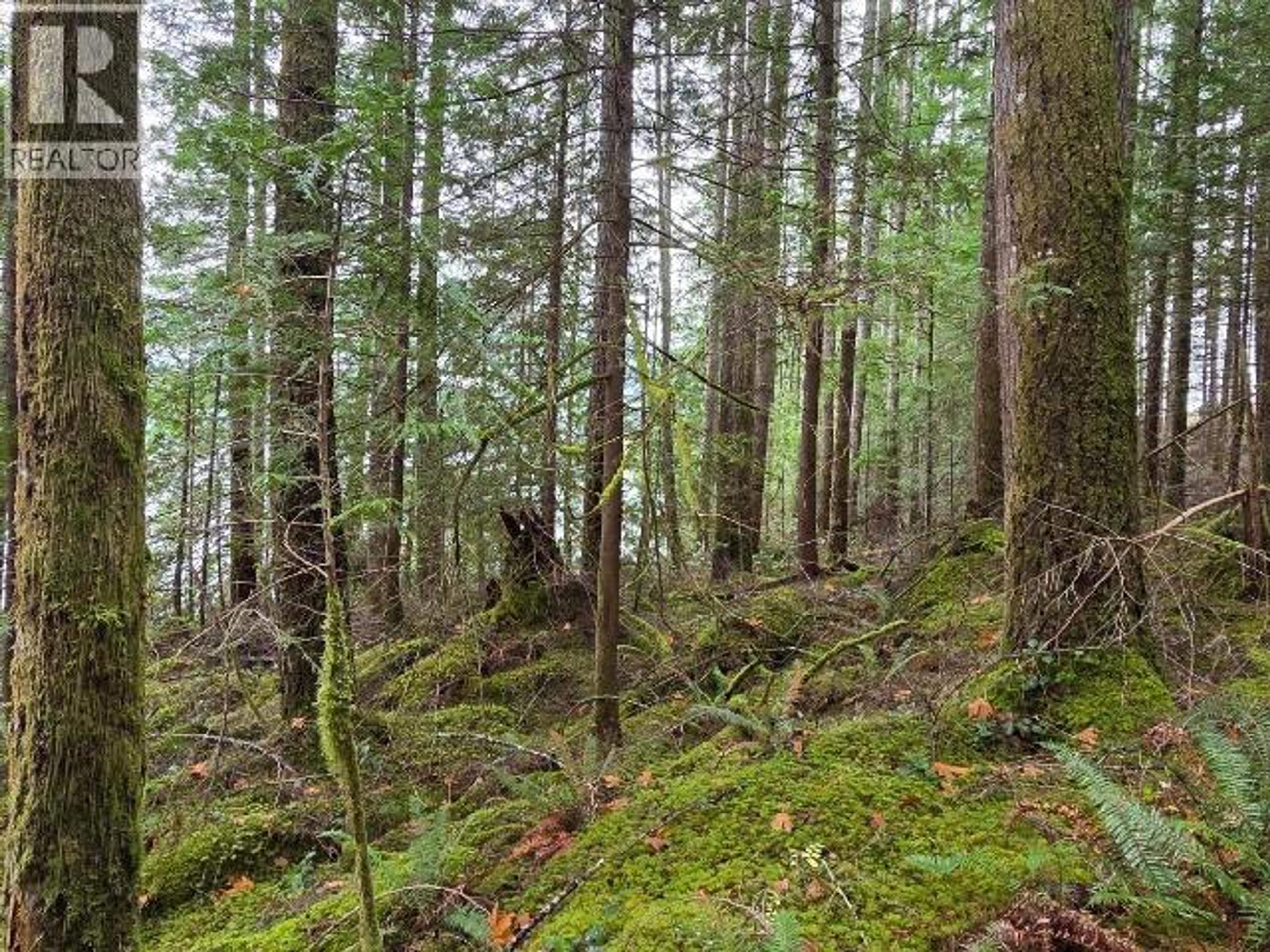 10472 POWELL LAKE - 27