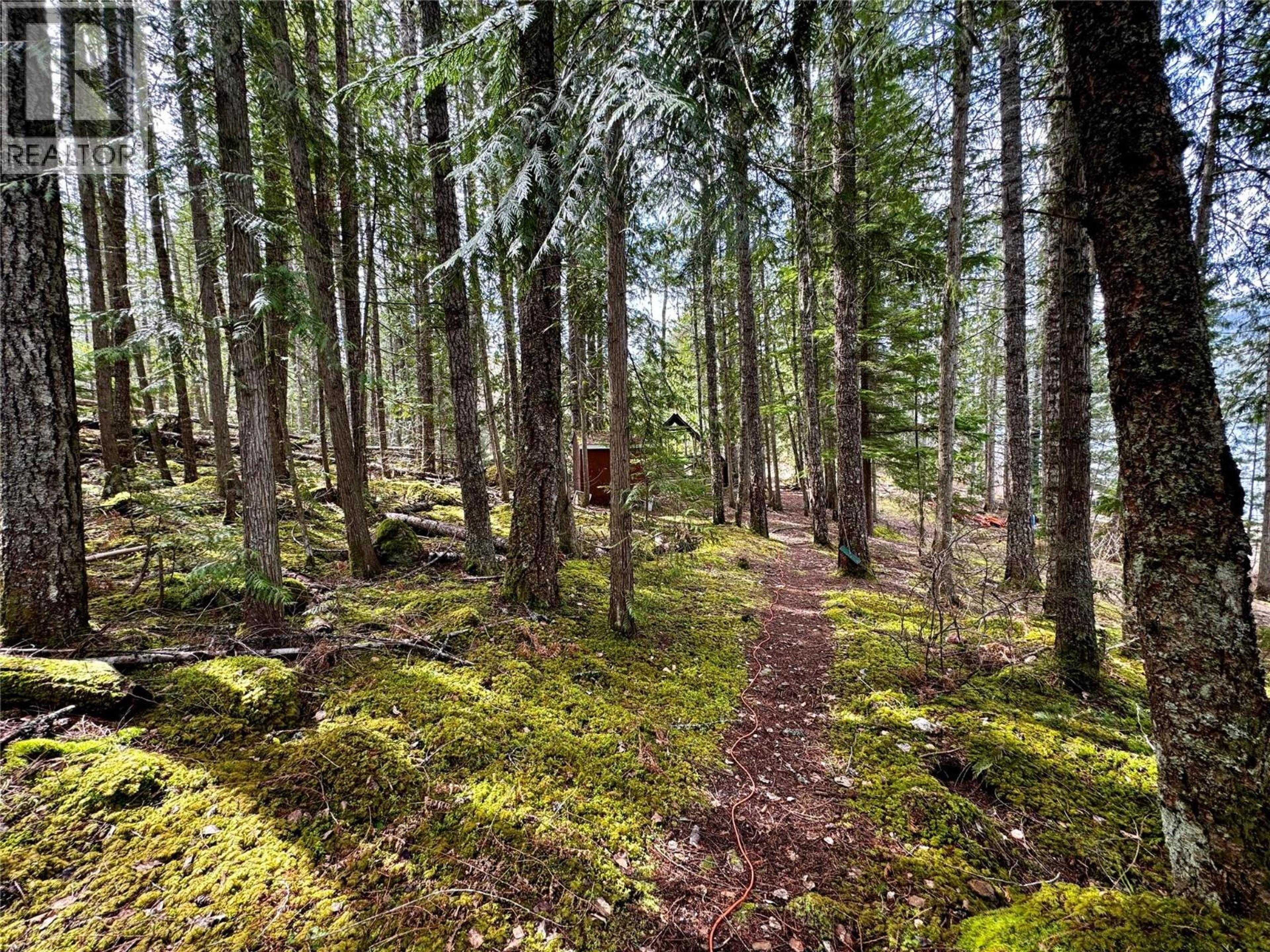 LOT 9 PETE MARTIN BAY - 30